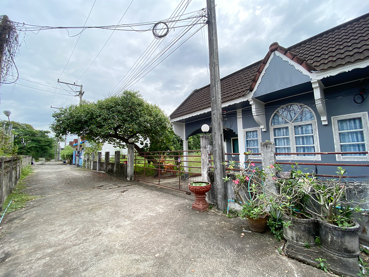 803f9e45-146769-3.jpg