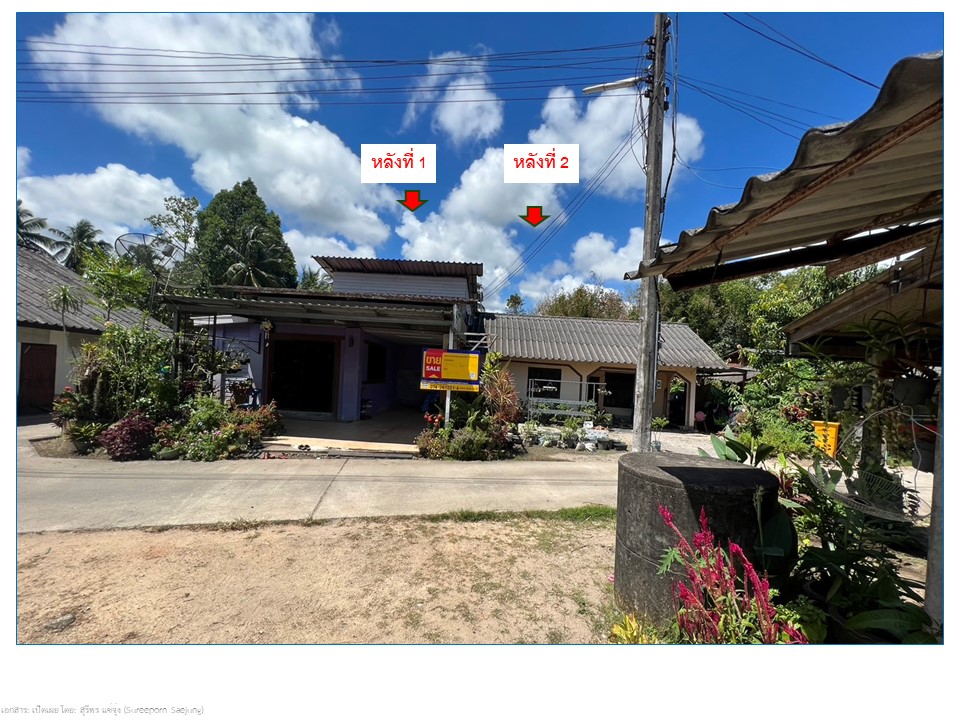 สไลด์2.JPG