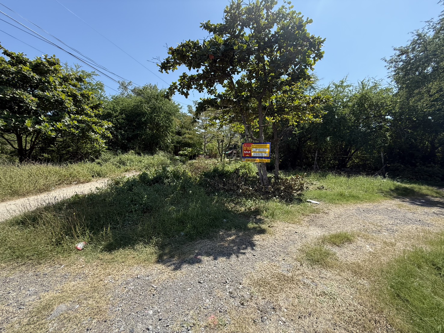 S__172359739_0.jpg