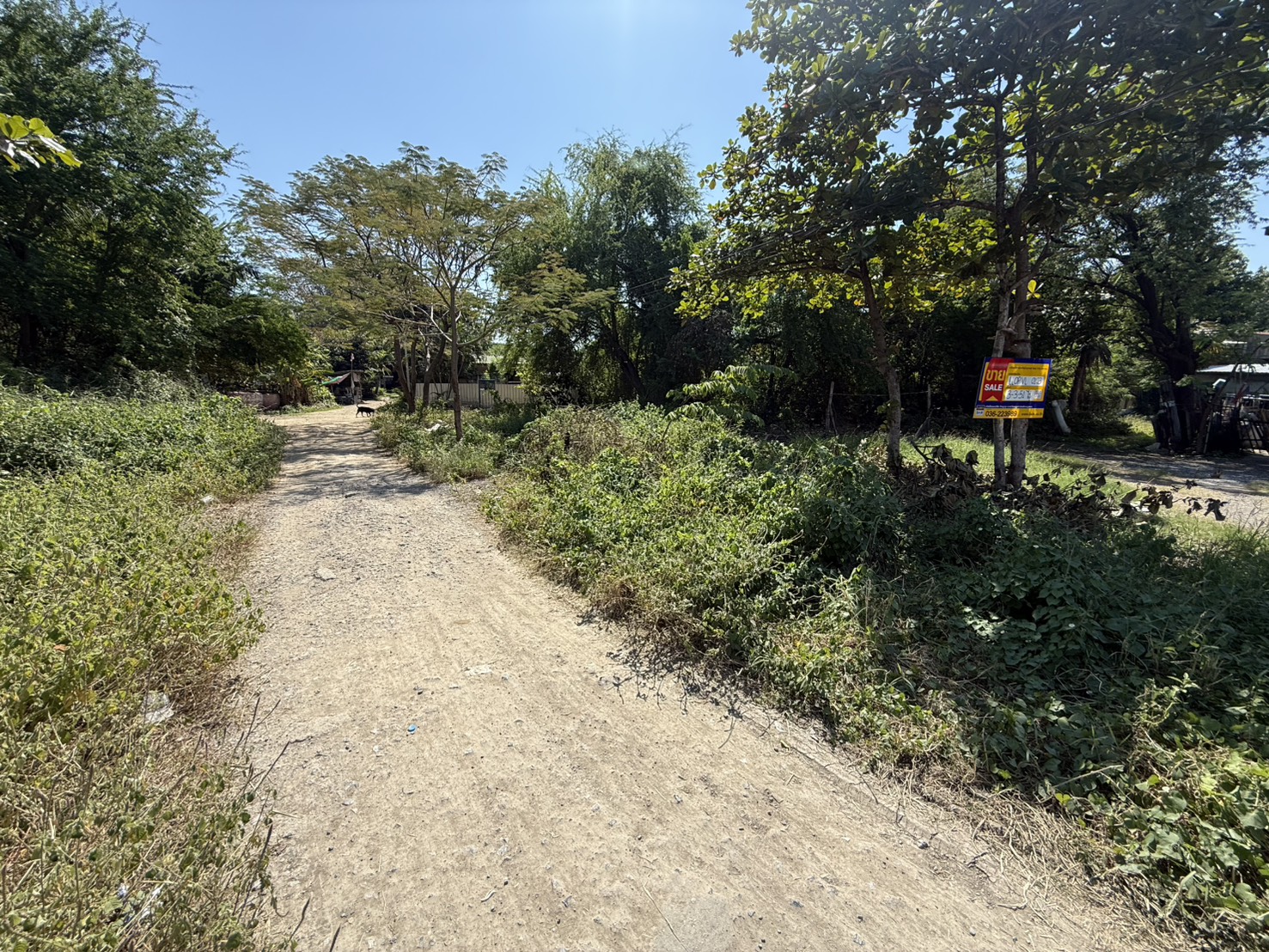 S__172359741_0.jpg