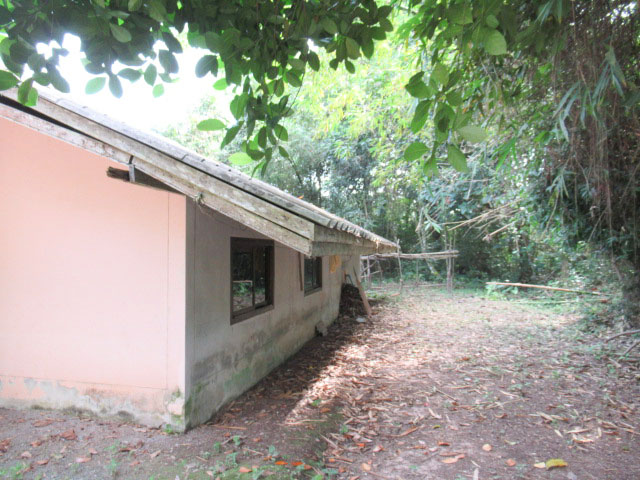 full_20220128180020.jpg