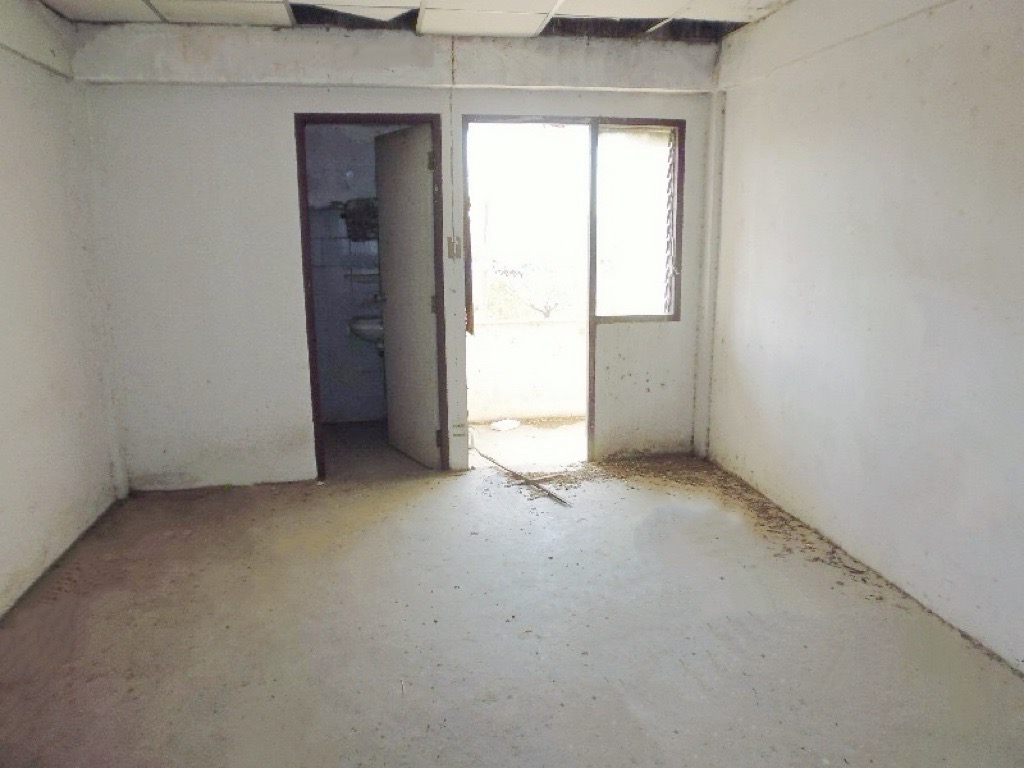 S__54927397.jpg