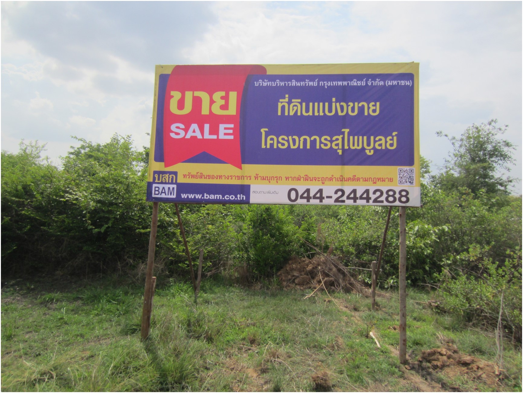 ที่ดิน บึงอ้อ  นครราชสีมา
