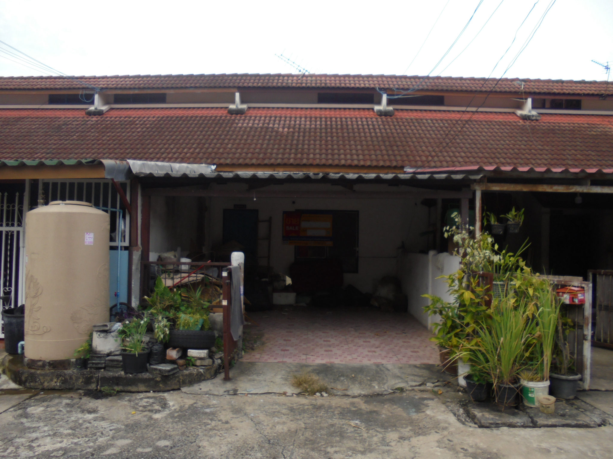 DSC03196.JPG