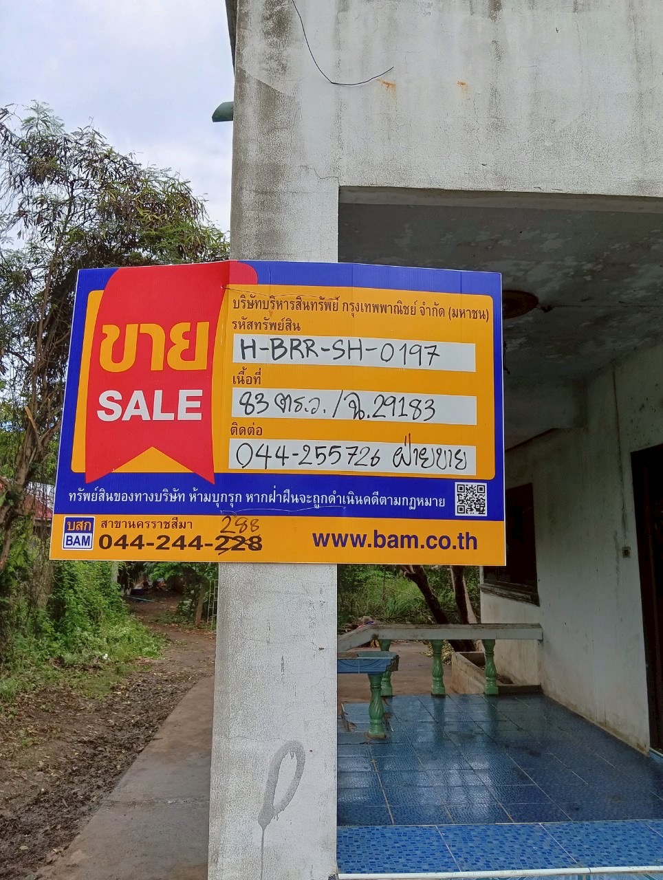MBMV6221.JPEG