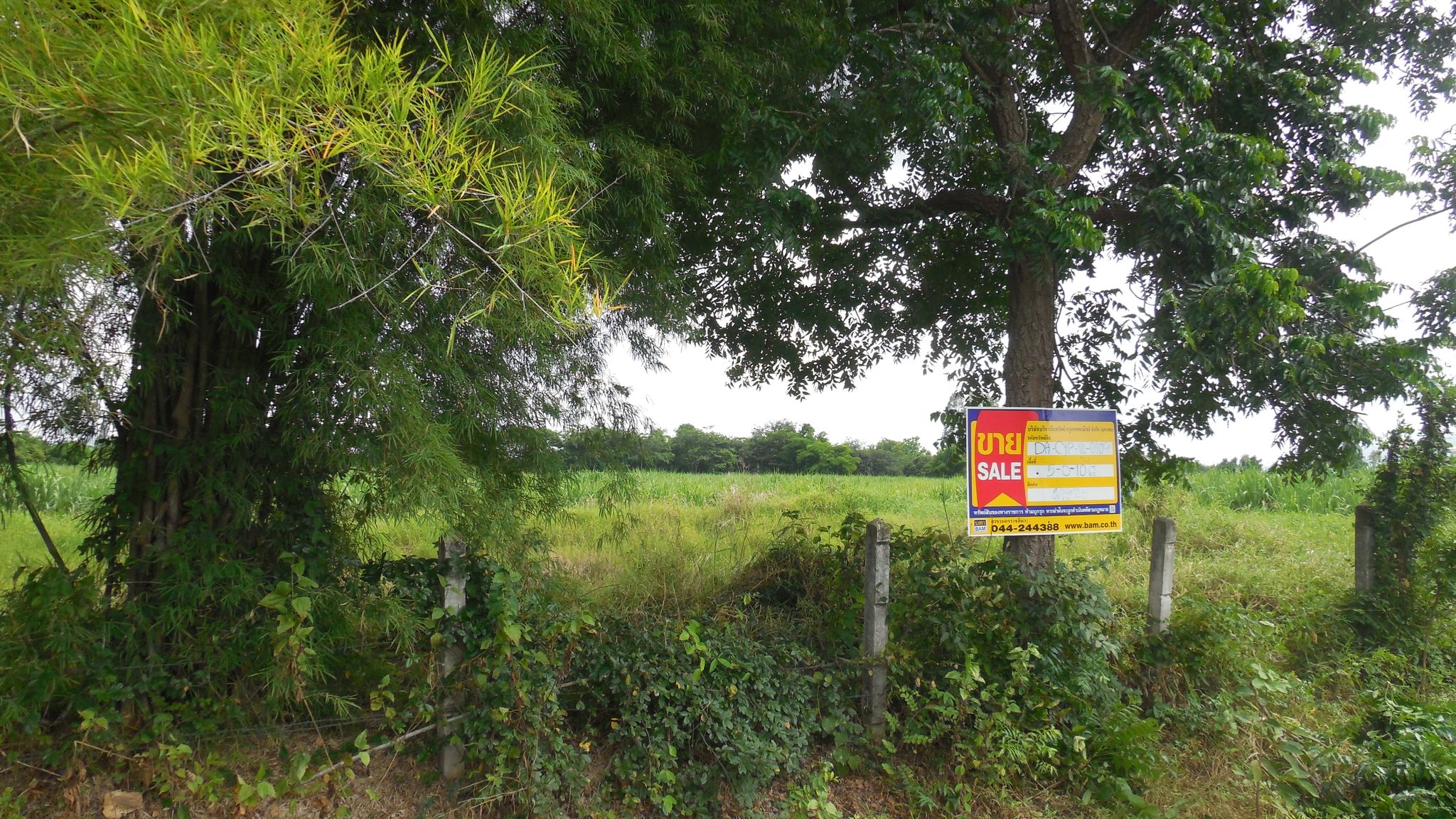 DSCN4324.JPG