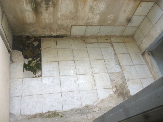 full_20200418140445.jpg