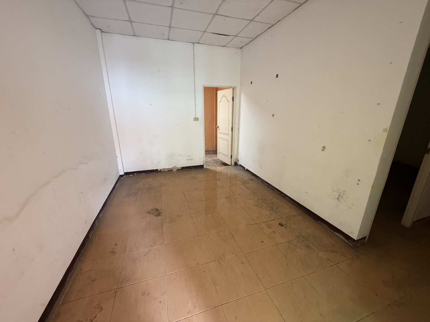 S__190529761.jpg