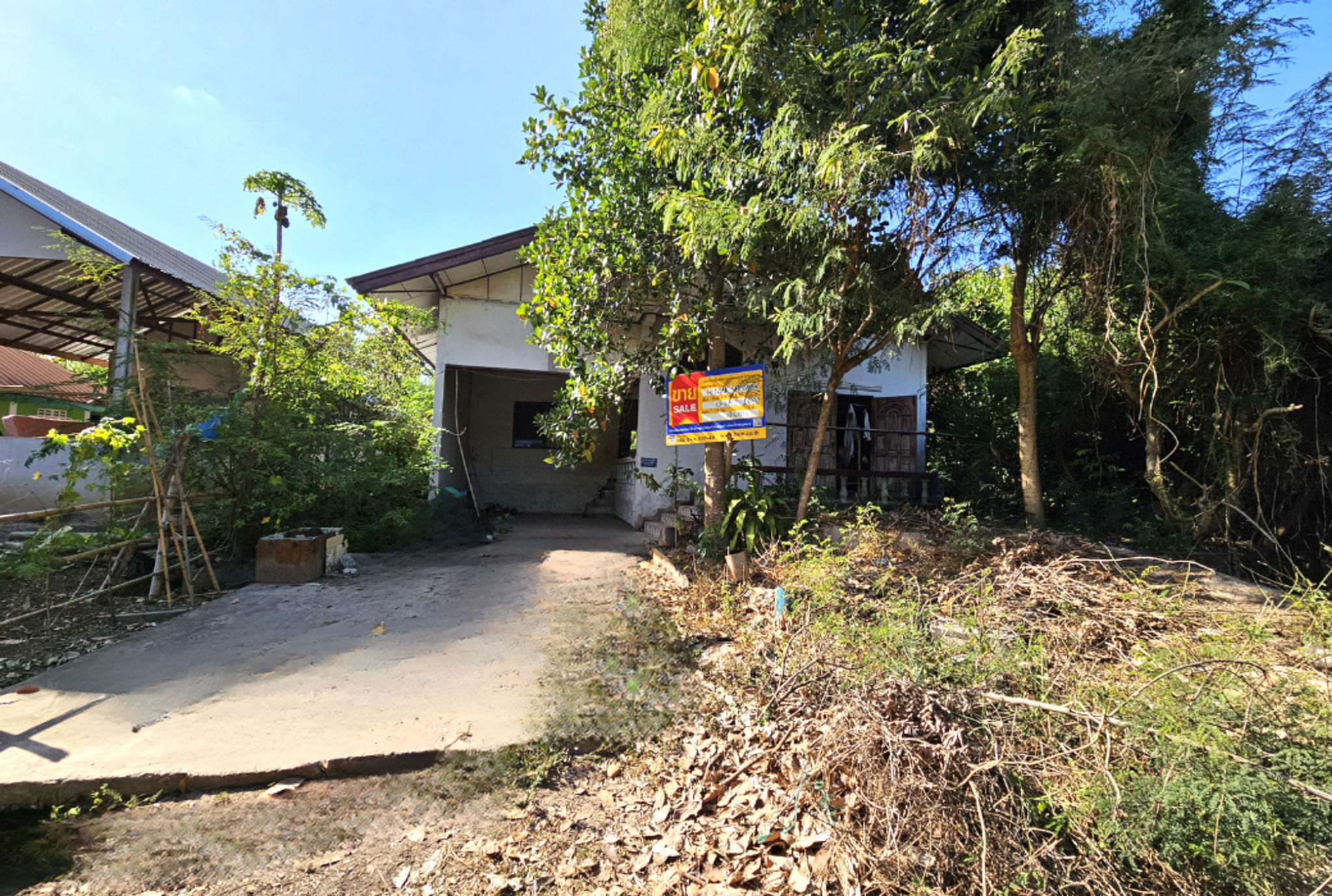 Canva Bamm (95).png