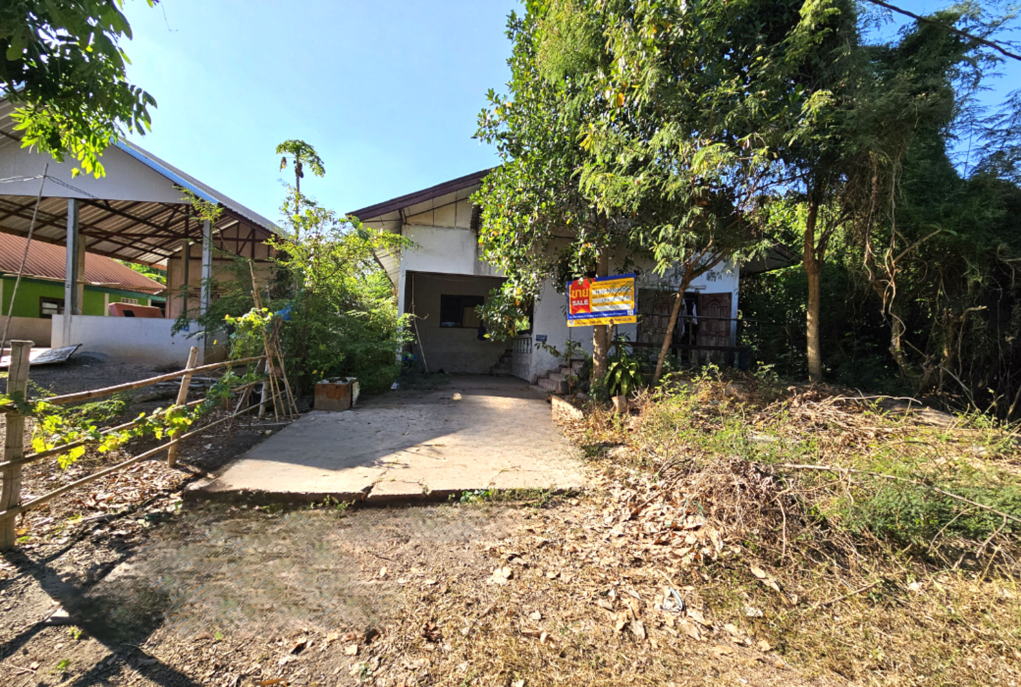 Canva Bamm (94).png