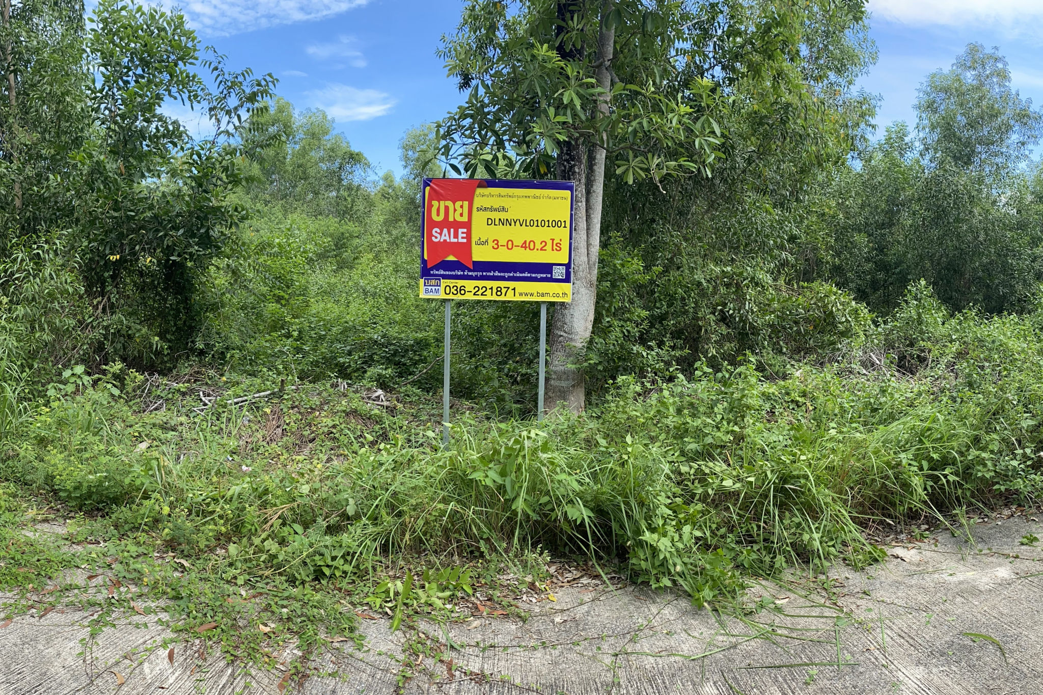 527cbec9-58004-0.jpg
