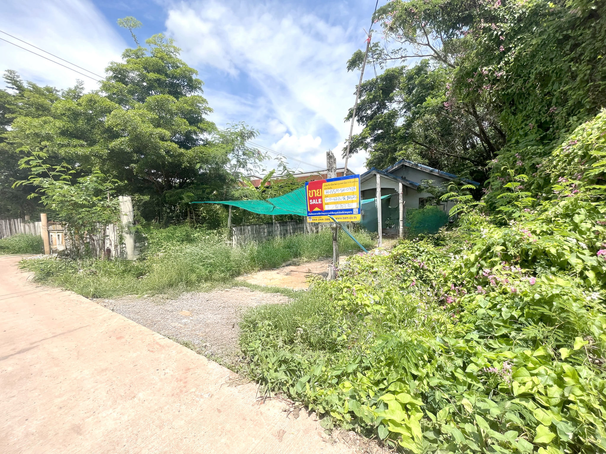 94ec667d-138383-0.jpg