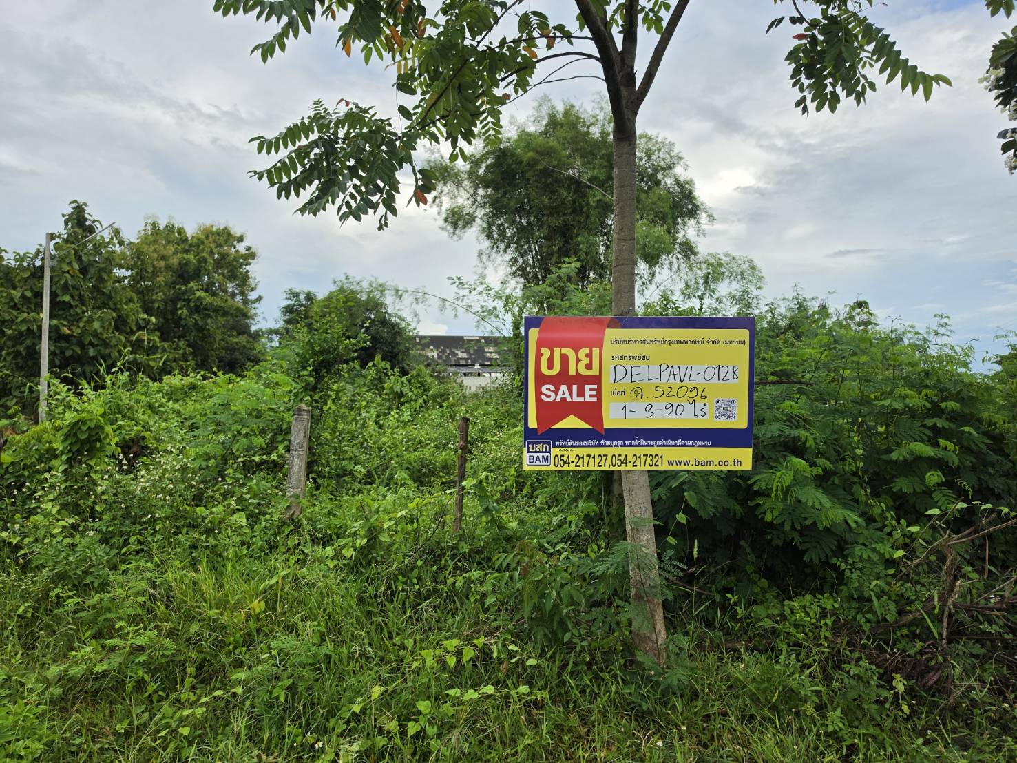 1789374696680.jpg