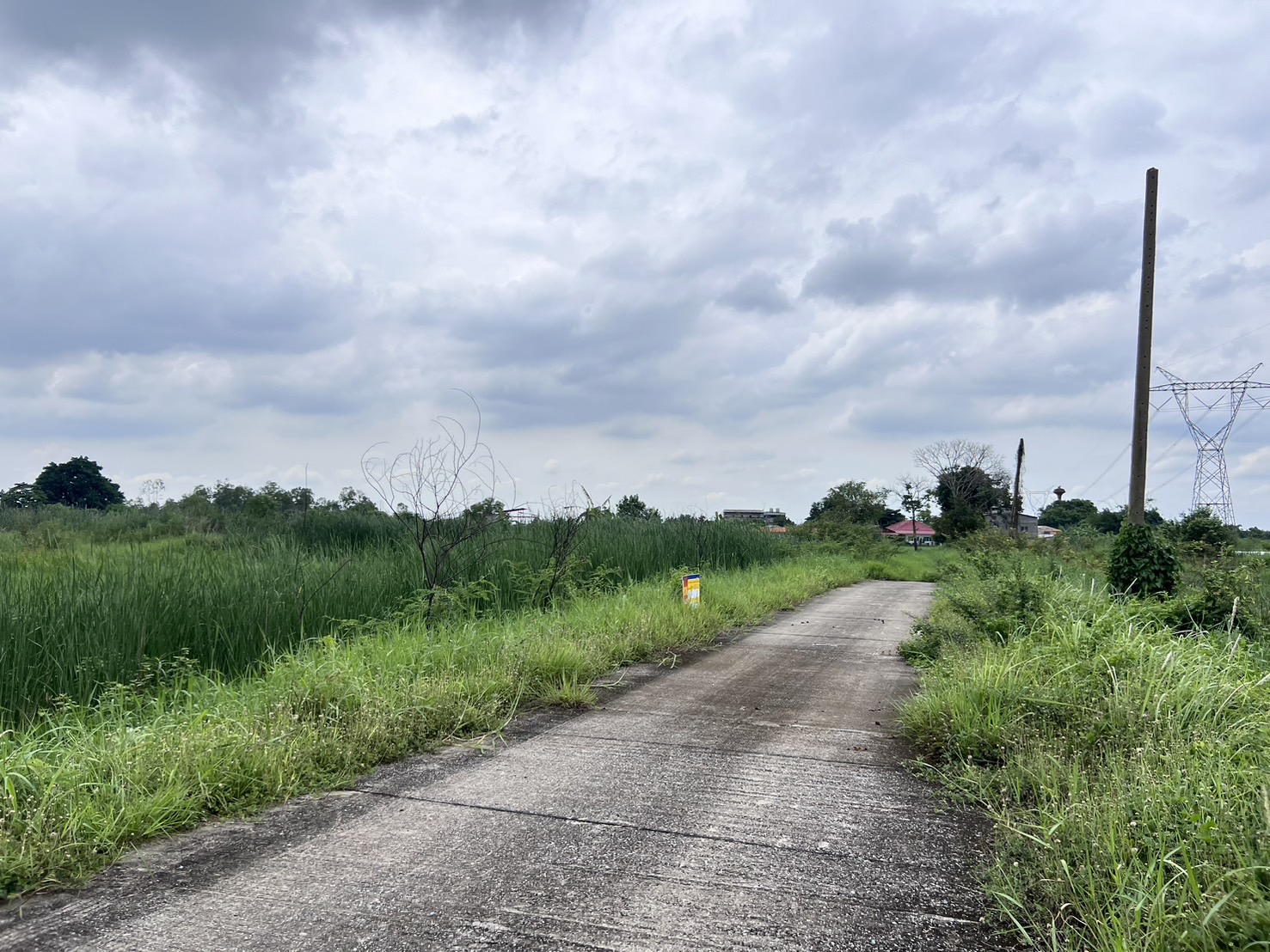 S__28327971.jpg