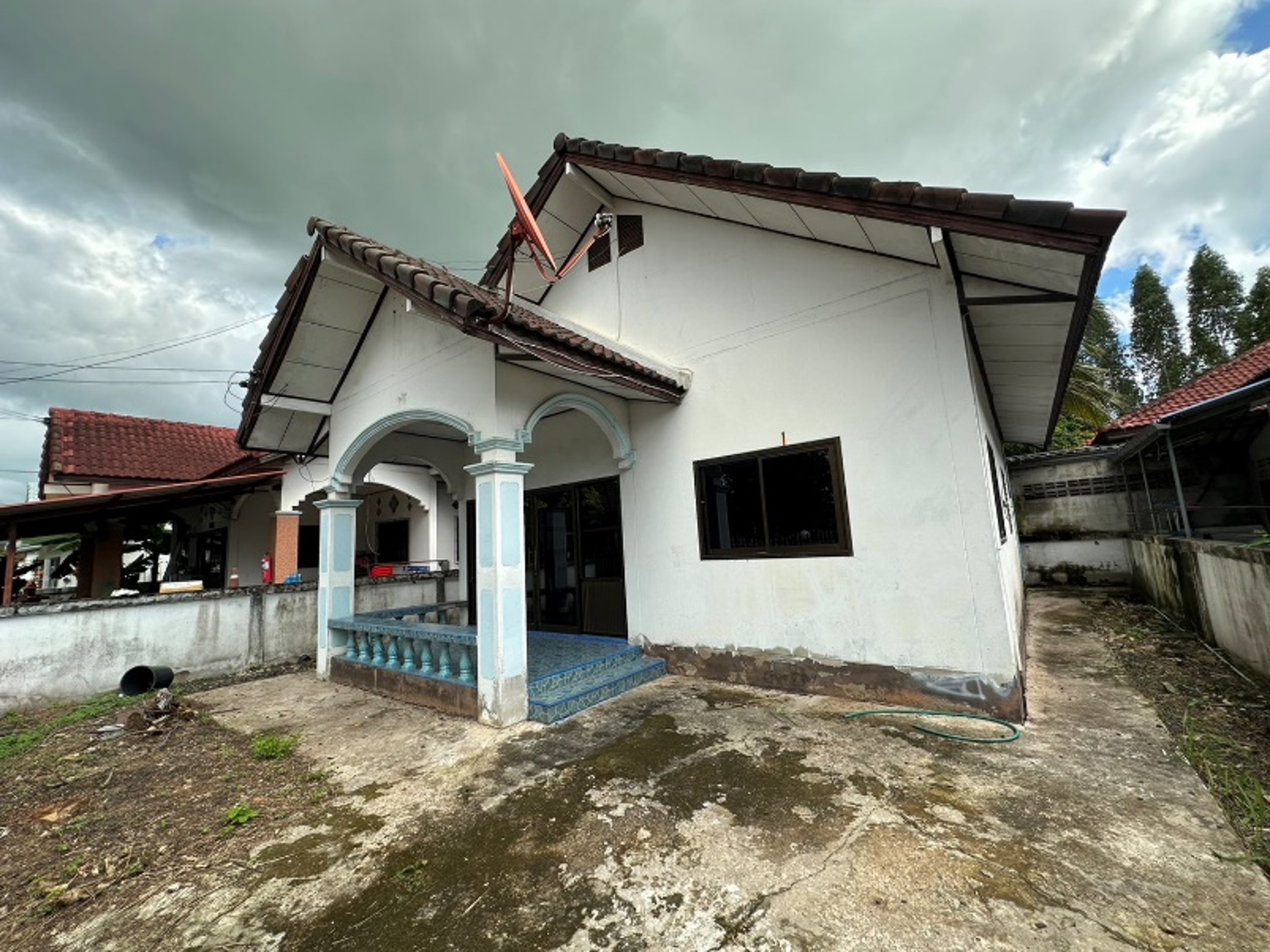 Picture2.jpg