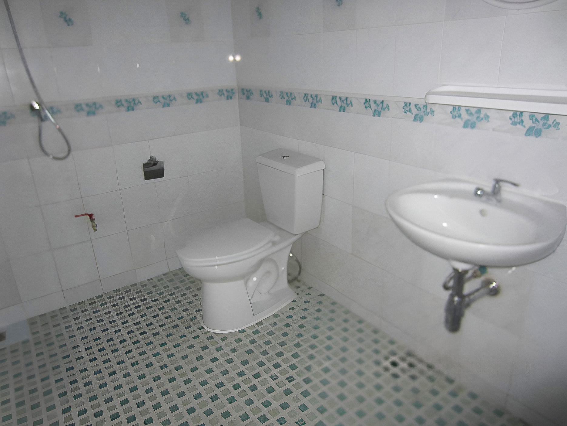 full_20220113165607.jpg