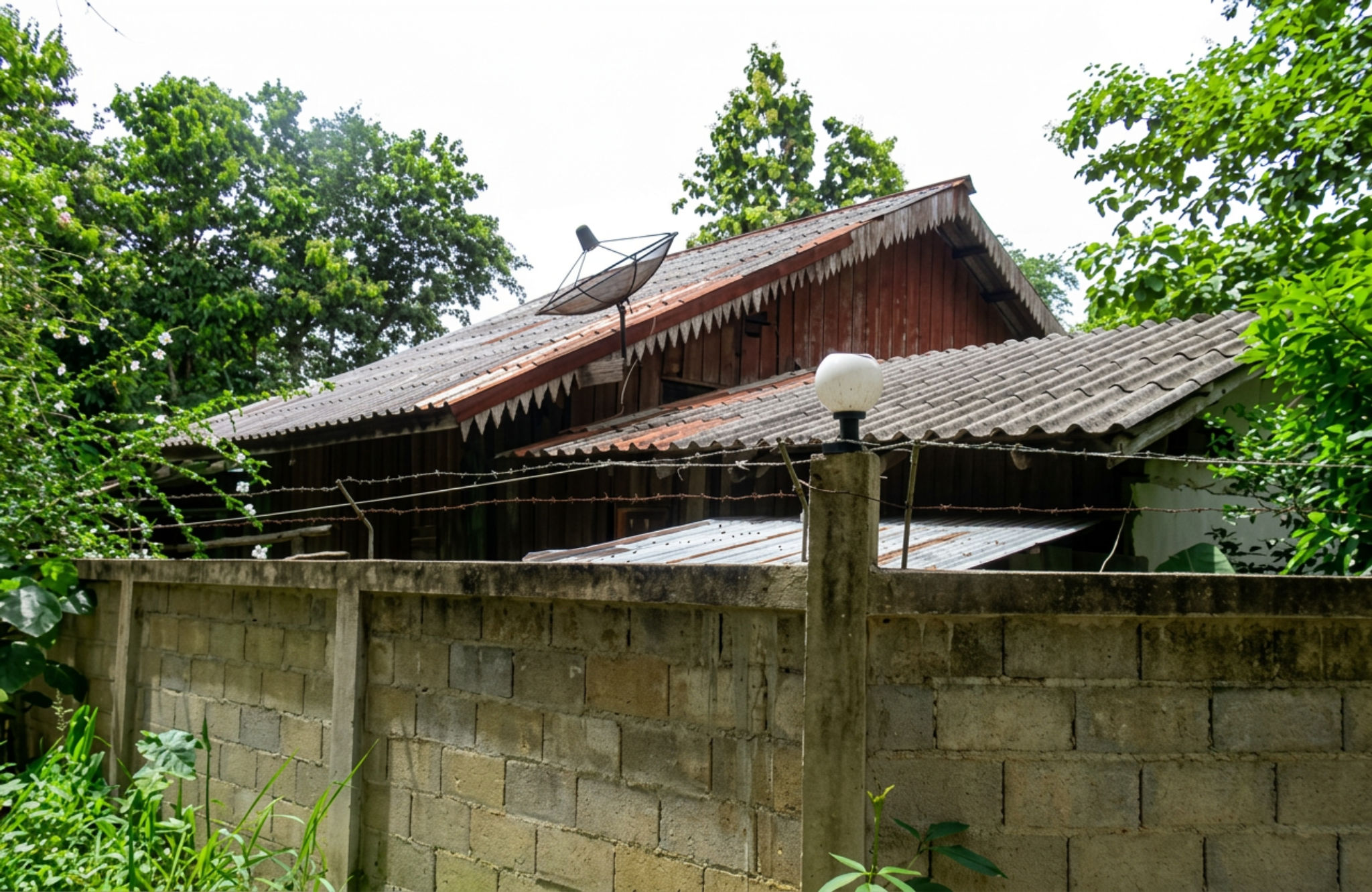 freepik_0001 (36).png