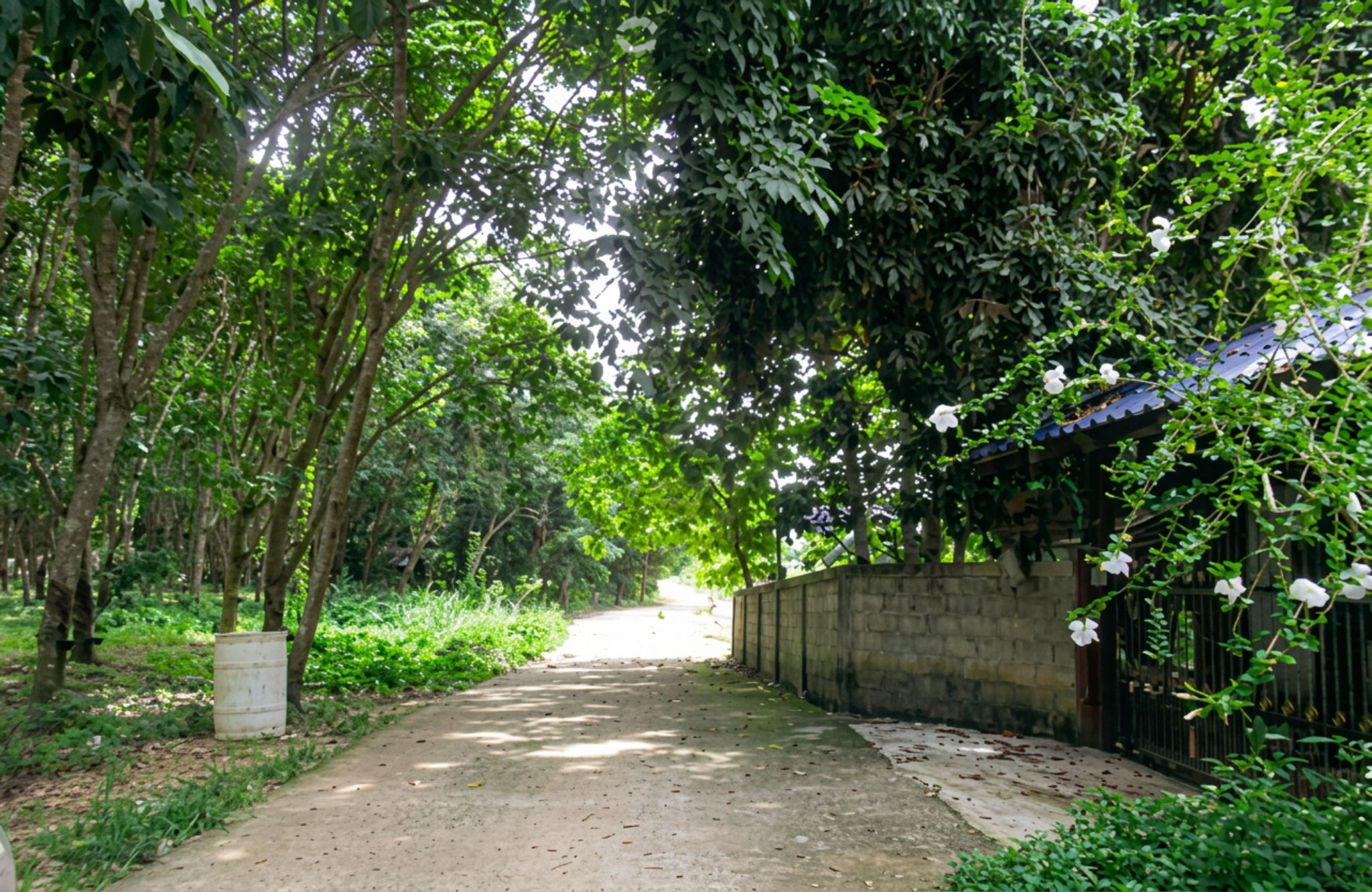 freepik_0001 (37).png