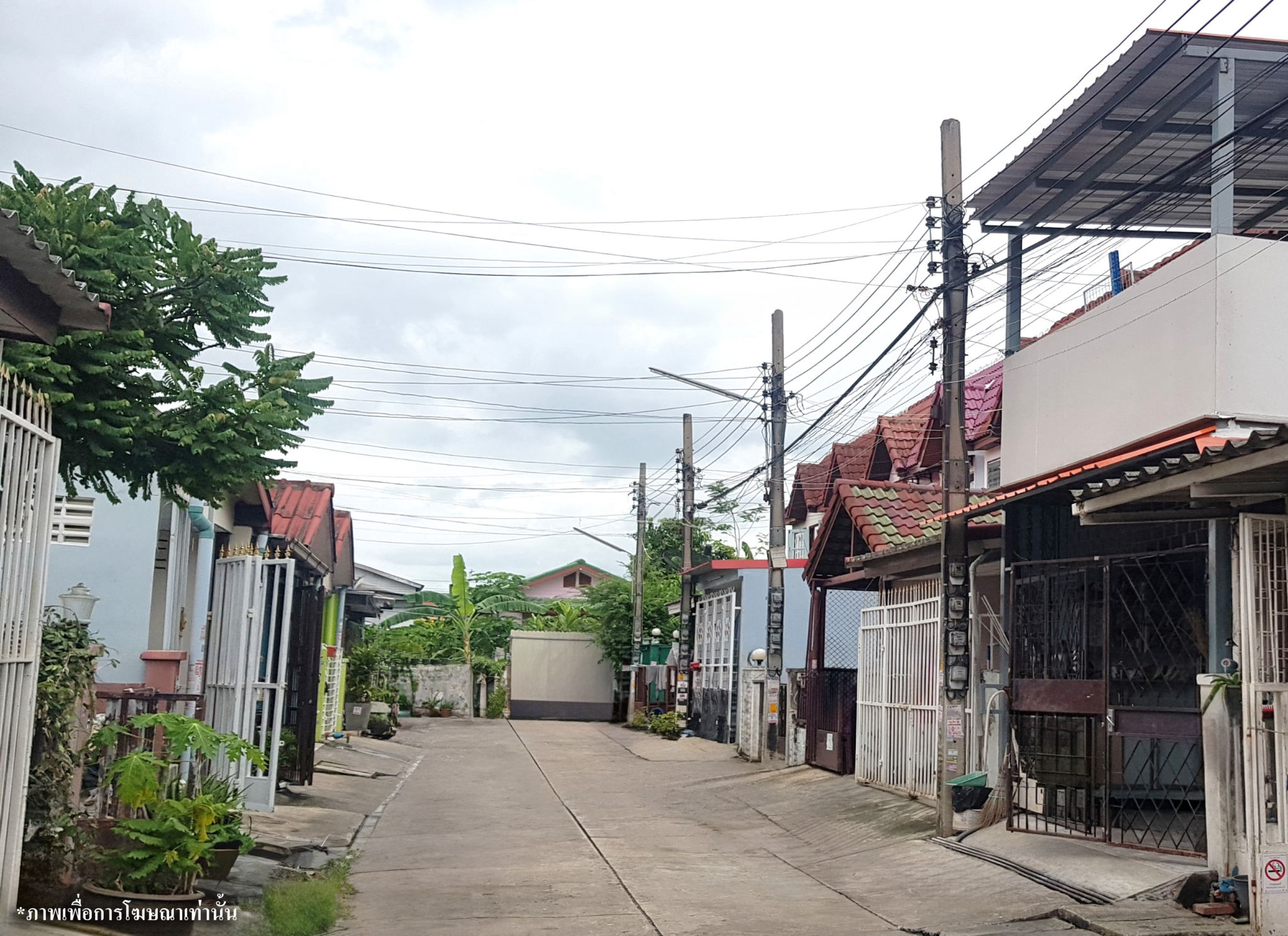cd87a2ca-website.jpg