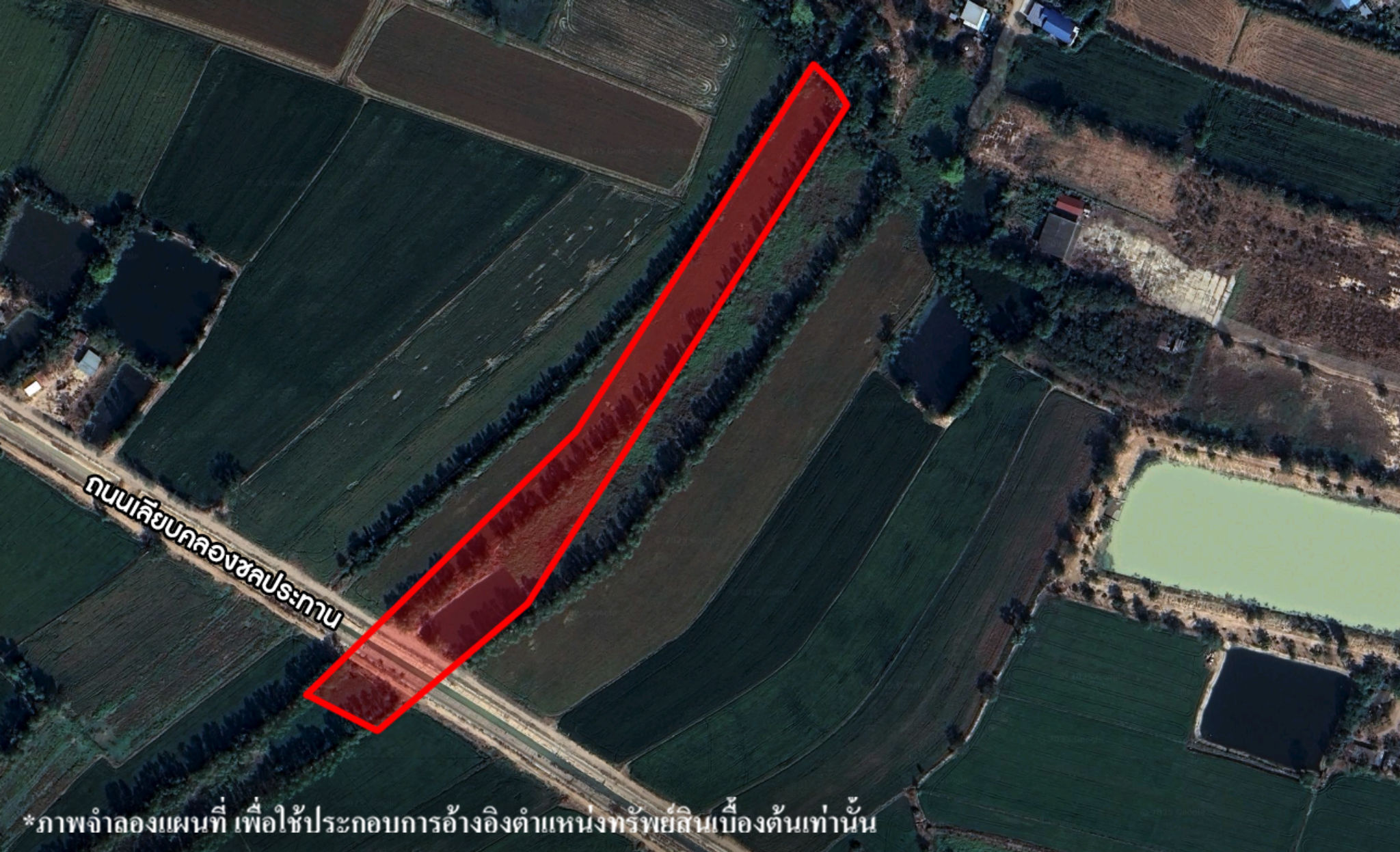 image (419).png