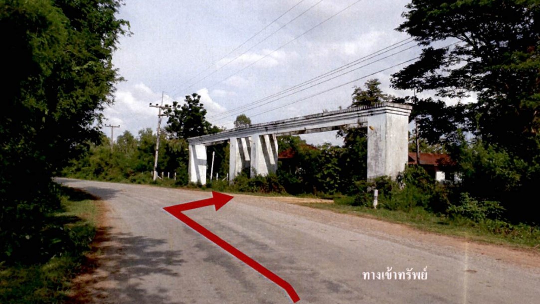 Picture29.jpg