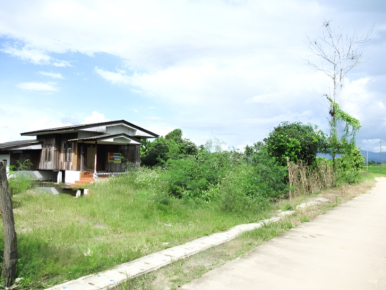 2cdf4f92-48763-5.jpg