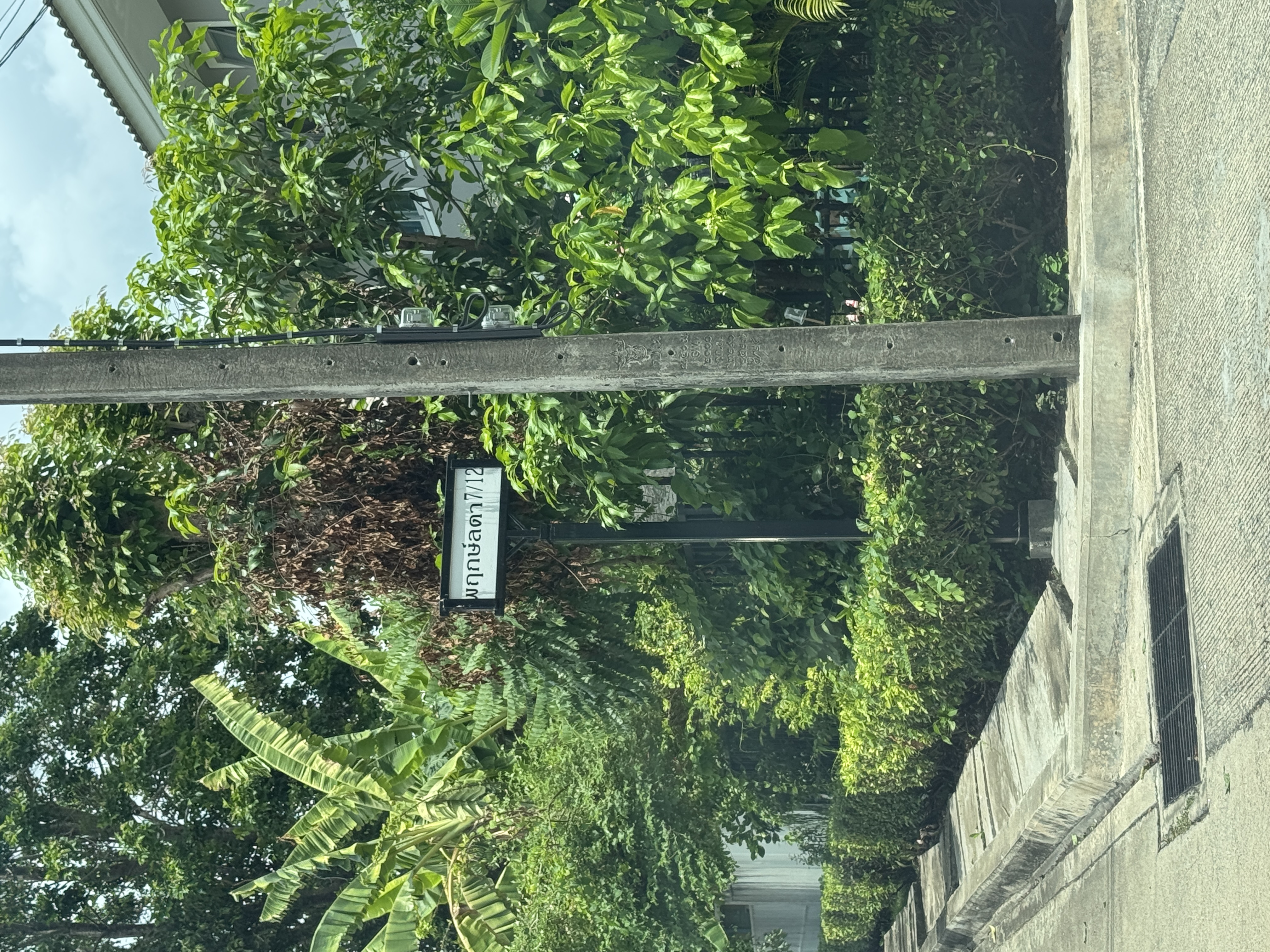 Pruklada Wongwan Rattanatibeit