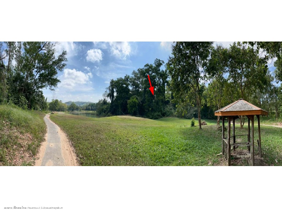 ที่ดิน บ้านพรุ  สงขลา