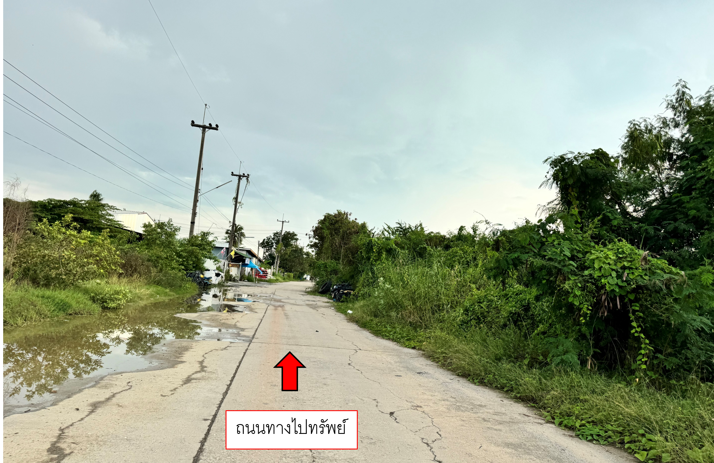 ทางไปทรัพย์ 2.png