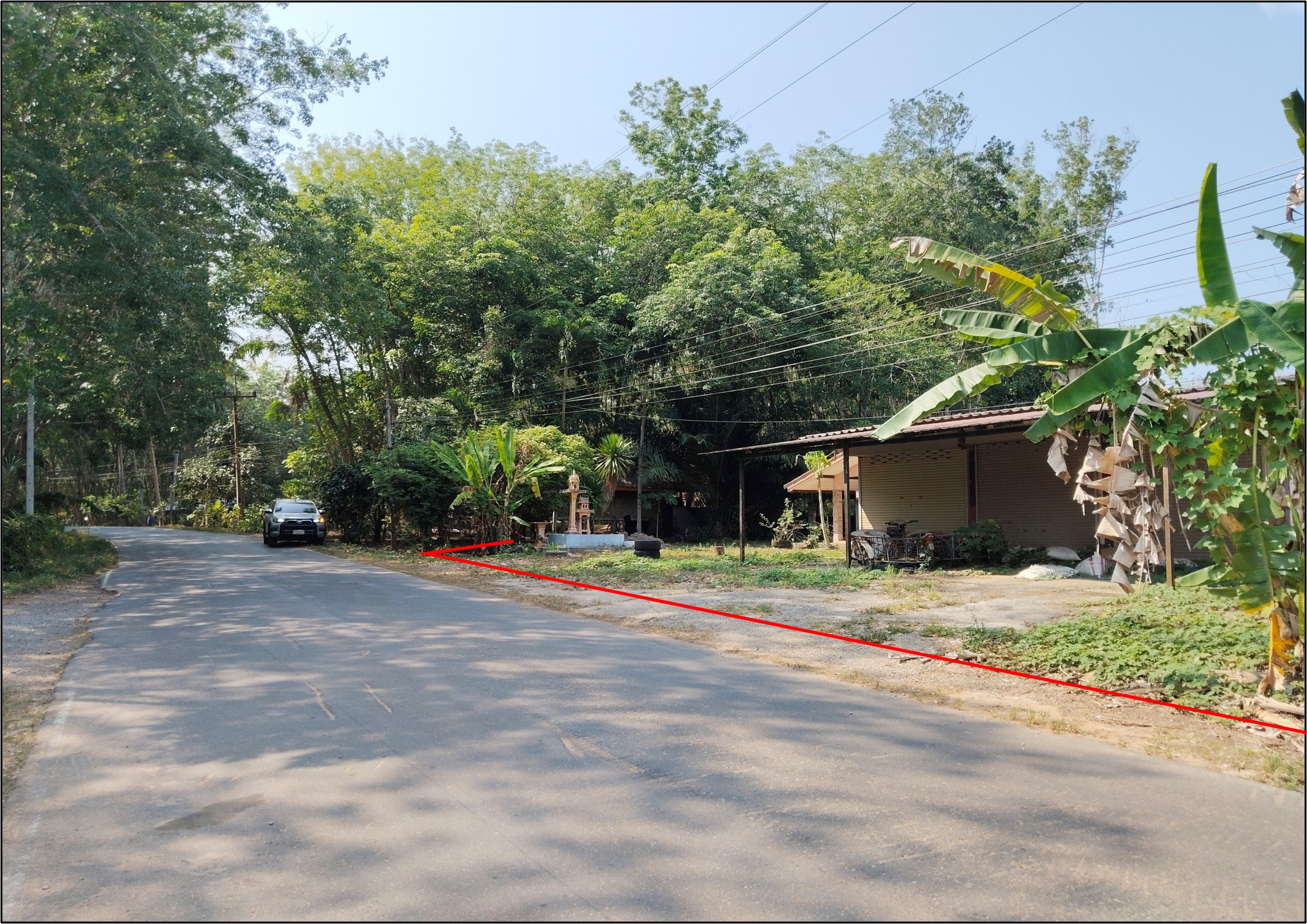 บ้านเดี่ยว   สุราษฎร์ธานี