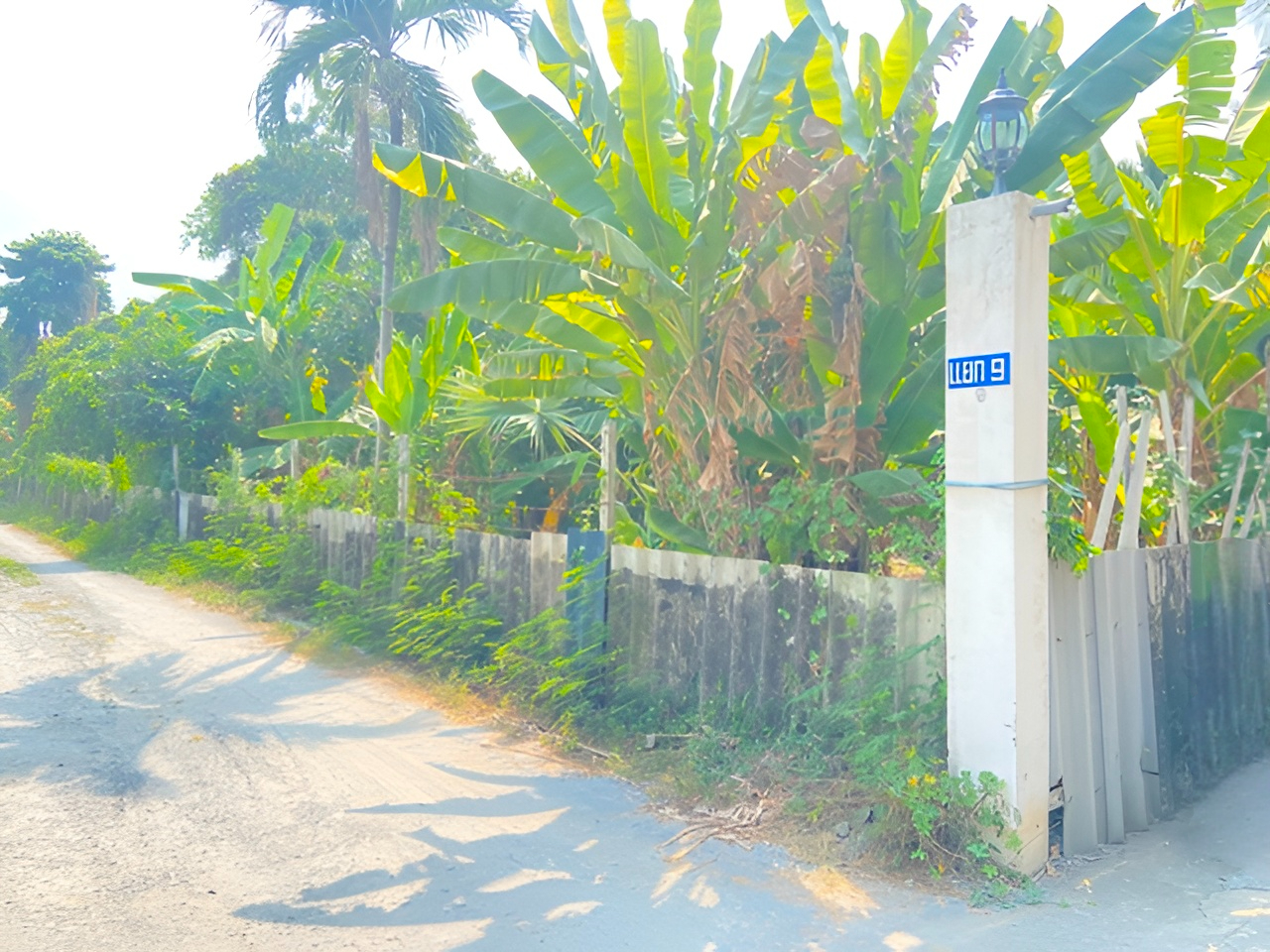ที่ดิน  บางกอกน้อย กรุงเทพมหานคร