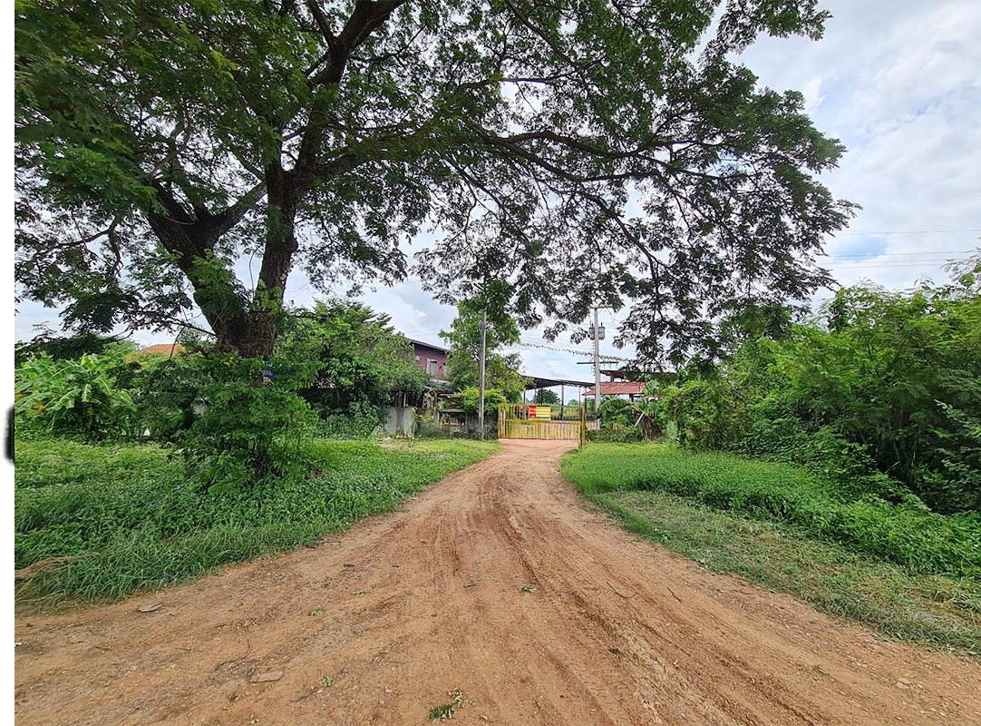 บ้านเดี่ยว   ขอนแก่น
