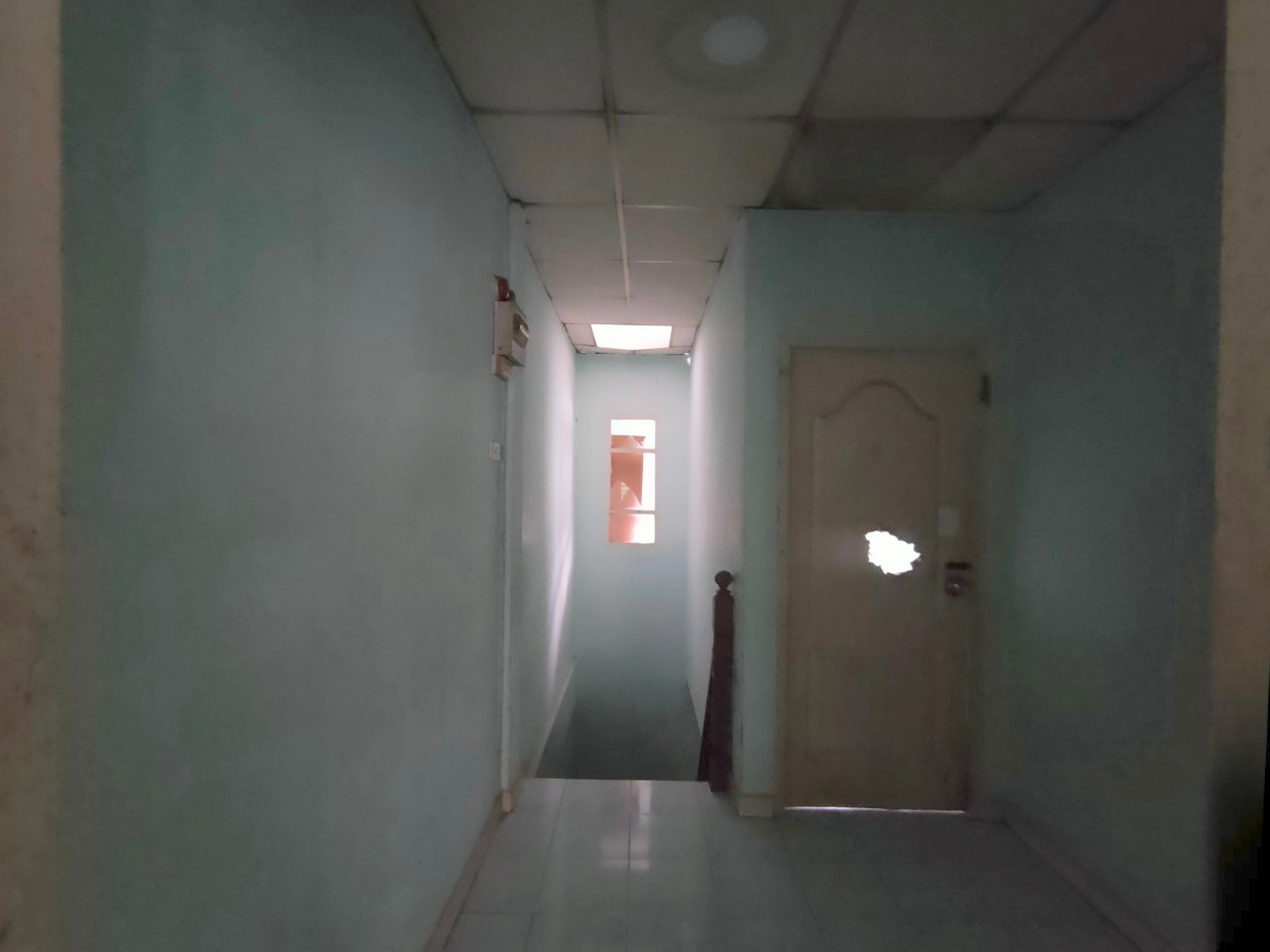 image (15).png