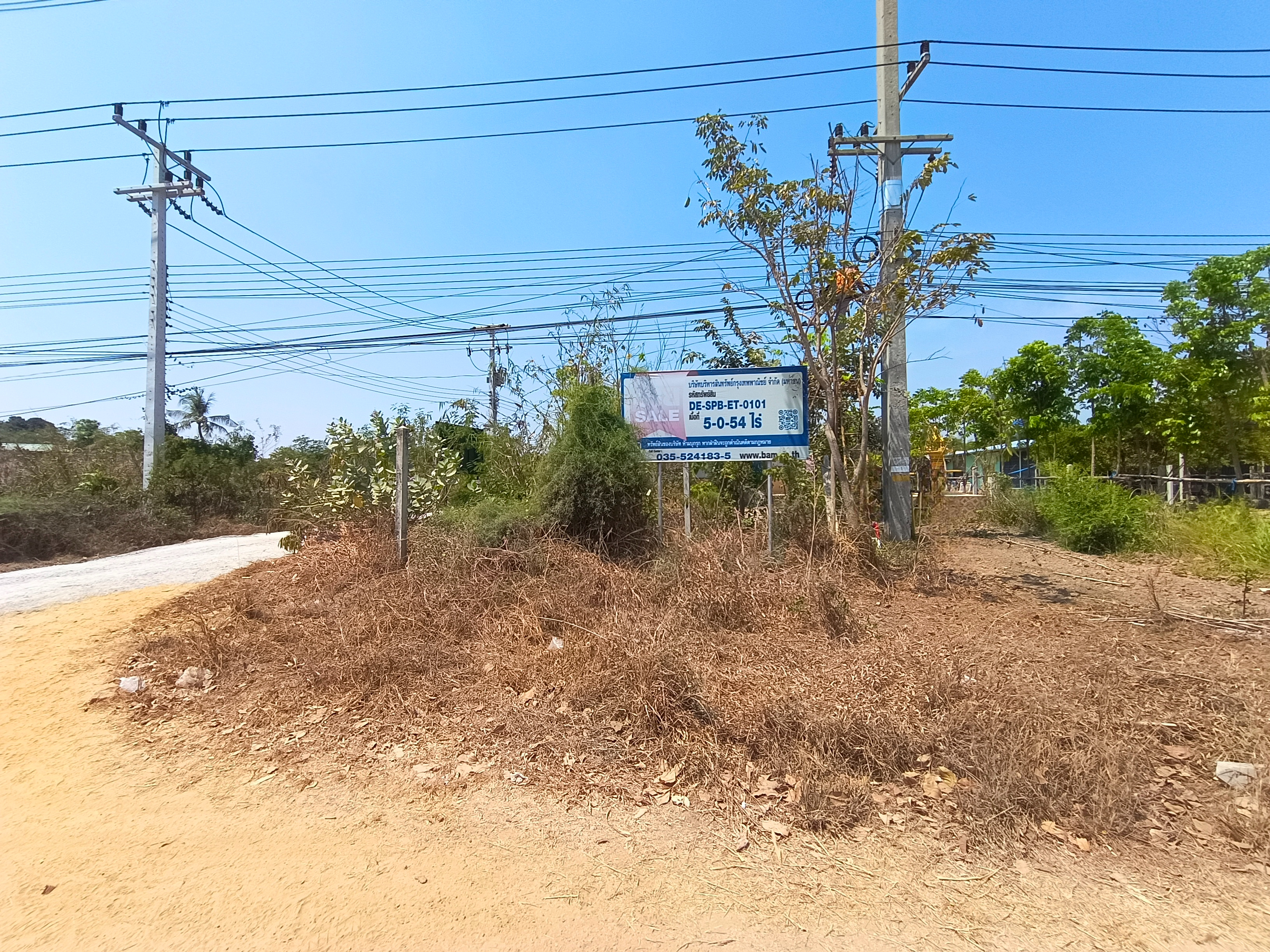 ที่ดินพร้อมสิ่งปลูกสร้าง เดิมบางนางบวช