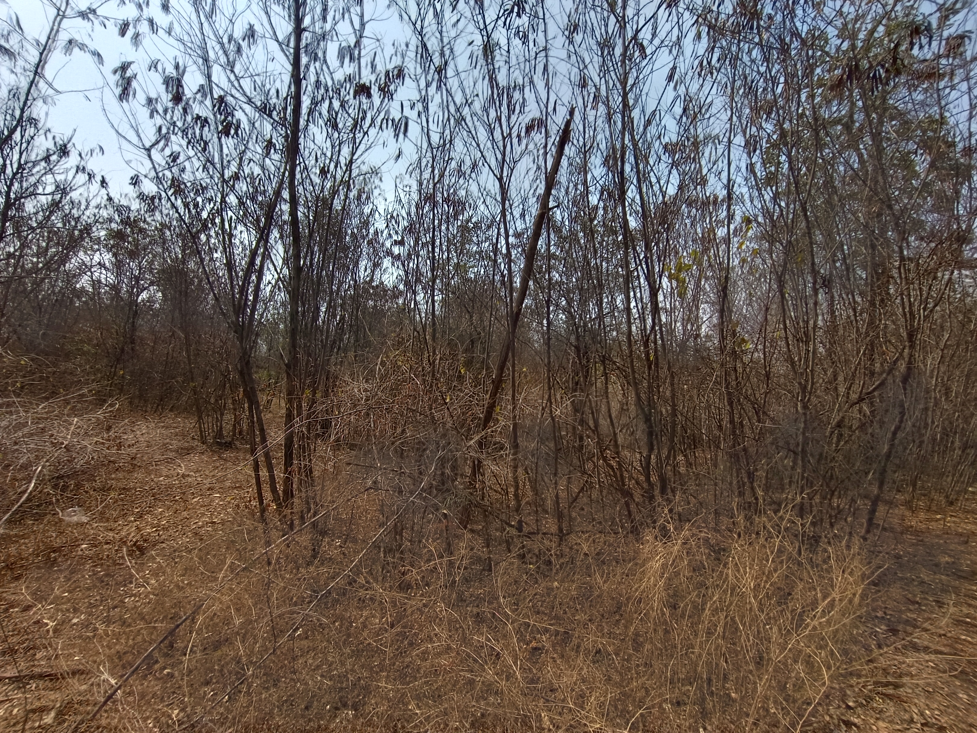IMG_20240129_114848.jpg