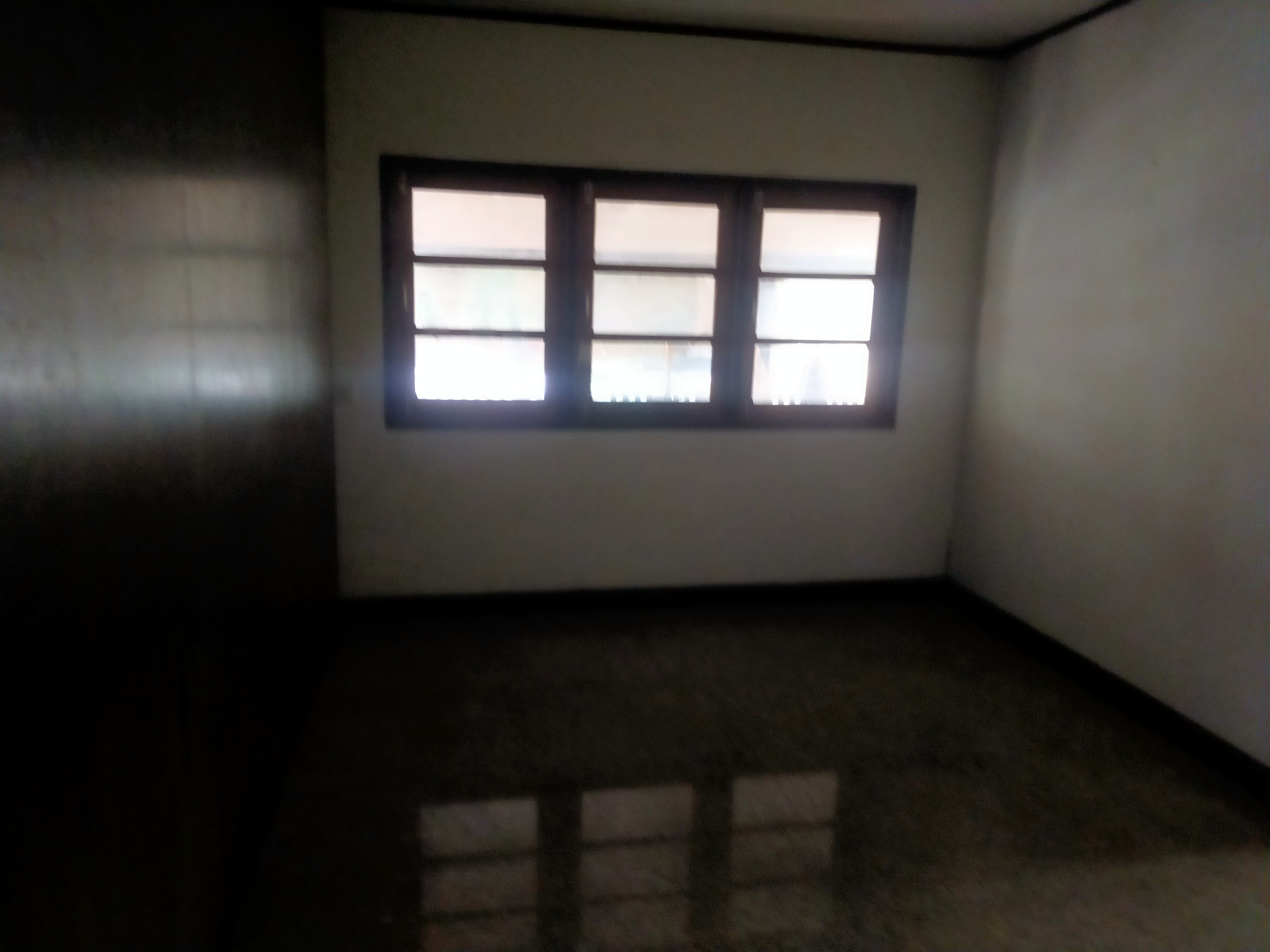 IMG20251216104258.jpg