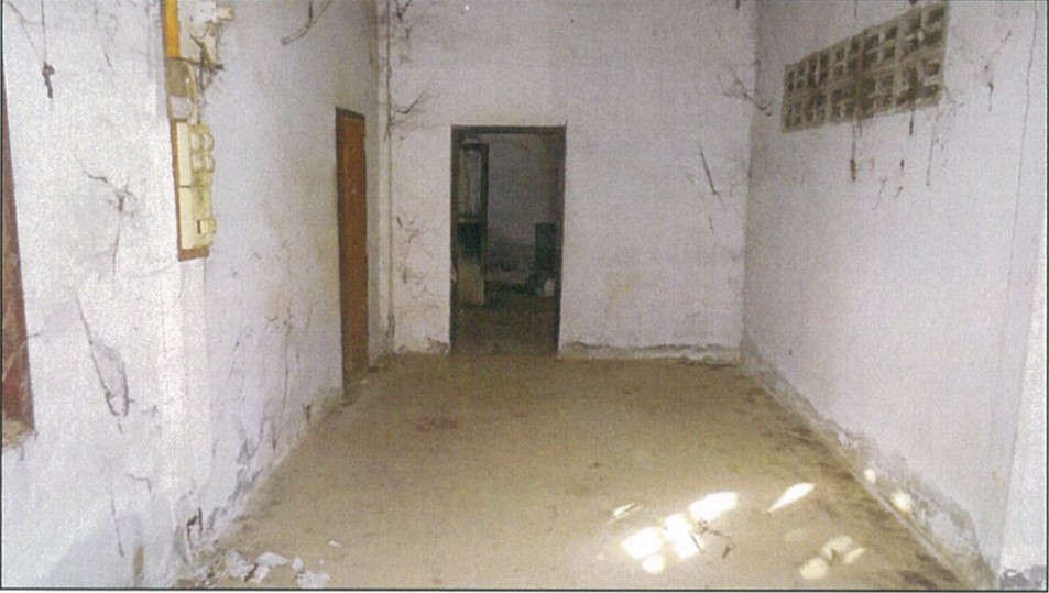 Picture12.jpg