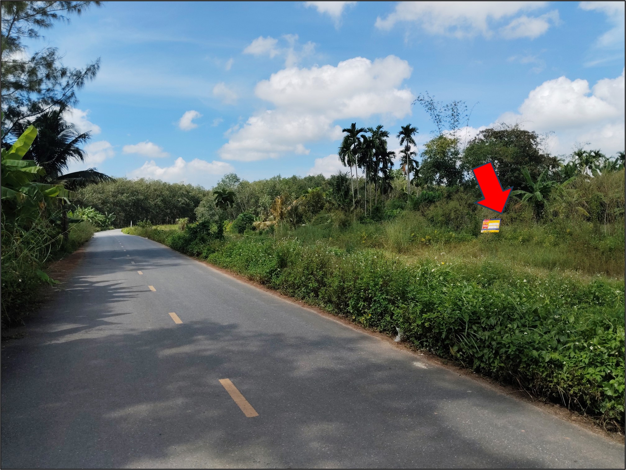 ที่ดิน บ้านส้อง  สุราษฎร์ธานี
