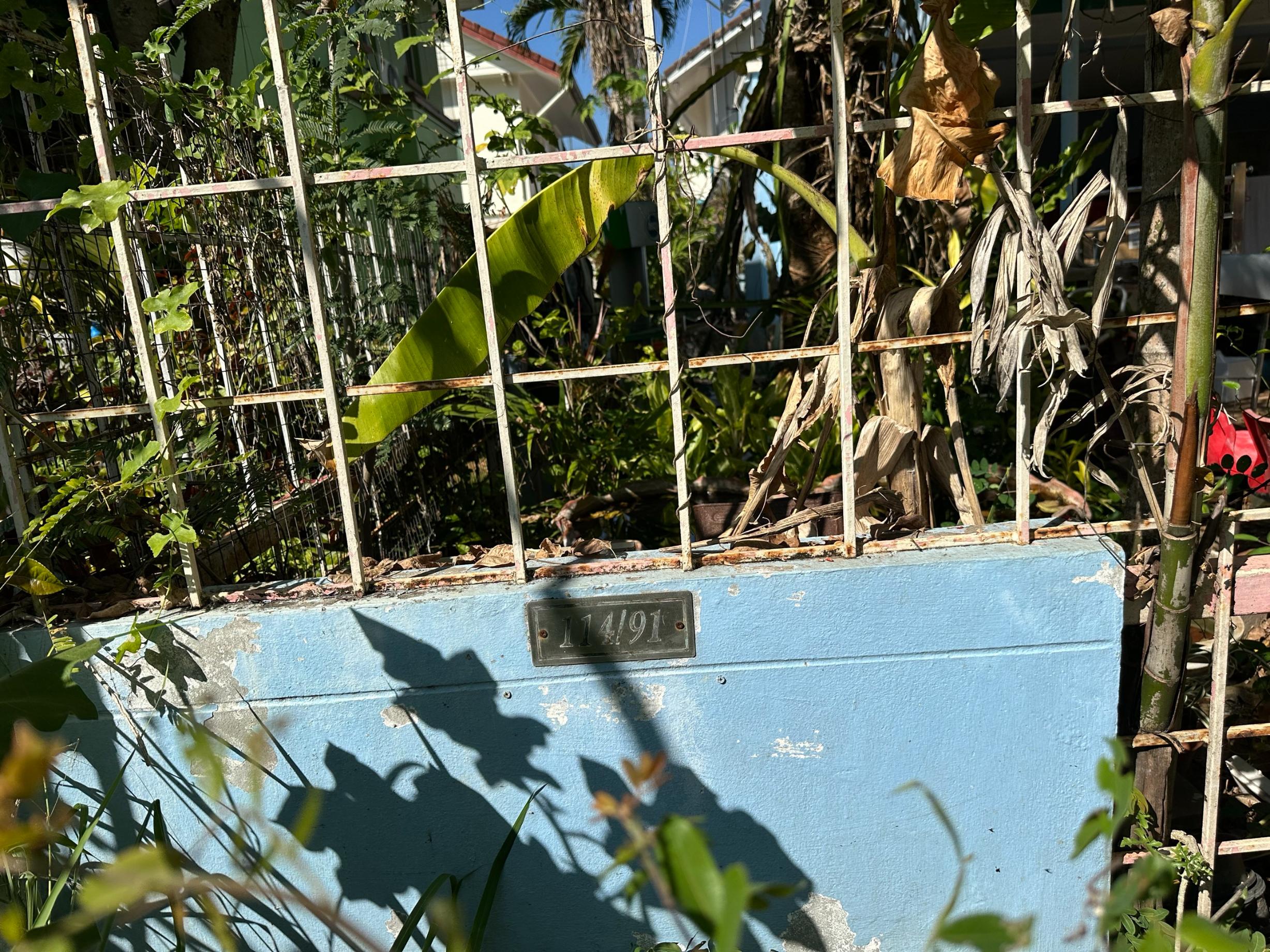 bdfe90b4-137927-1.jpg