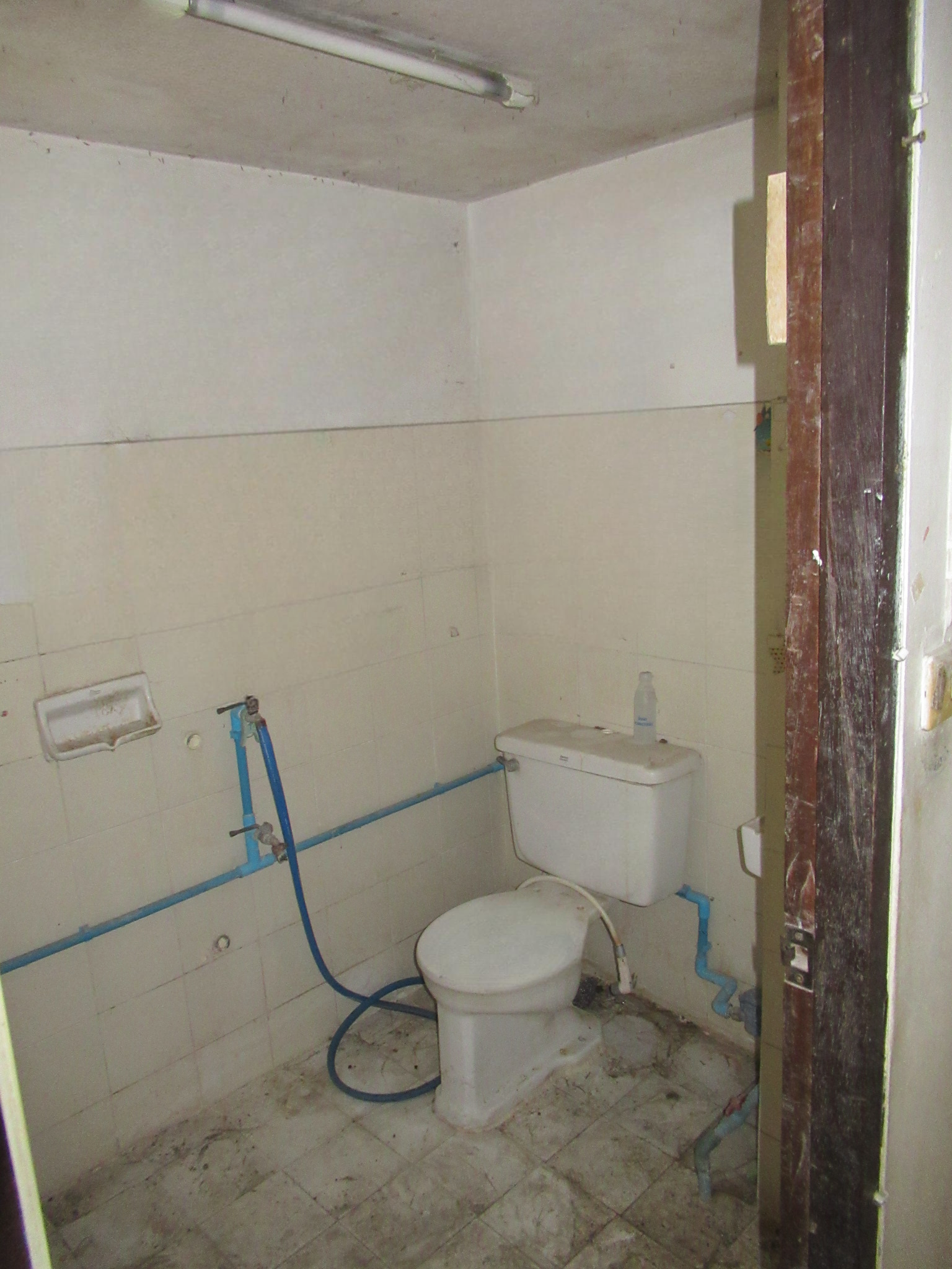 image (8).png