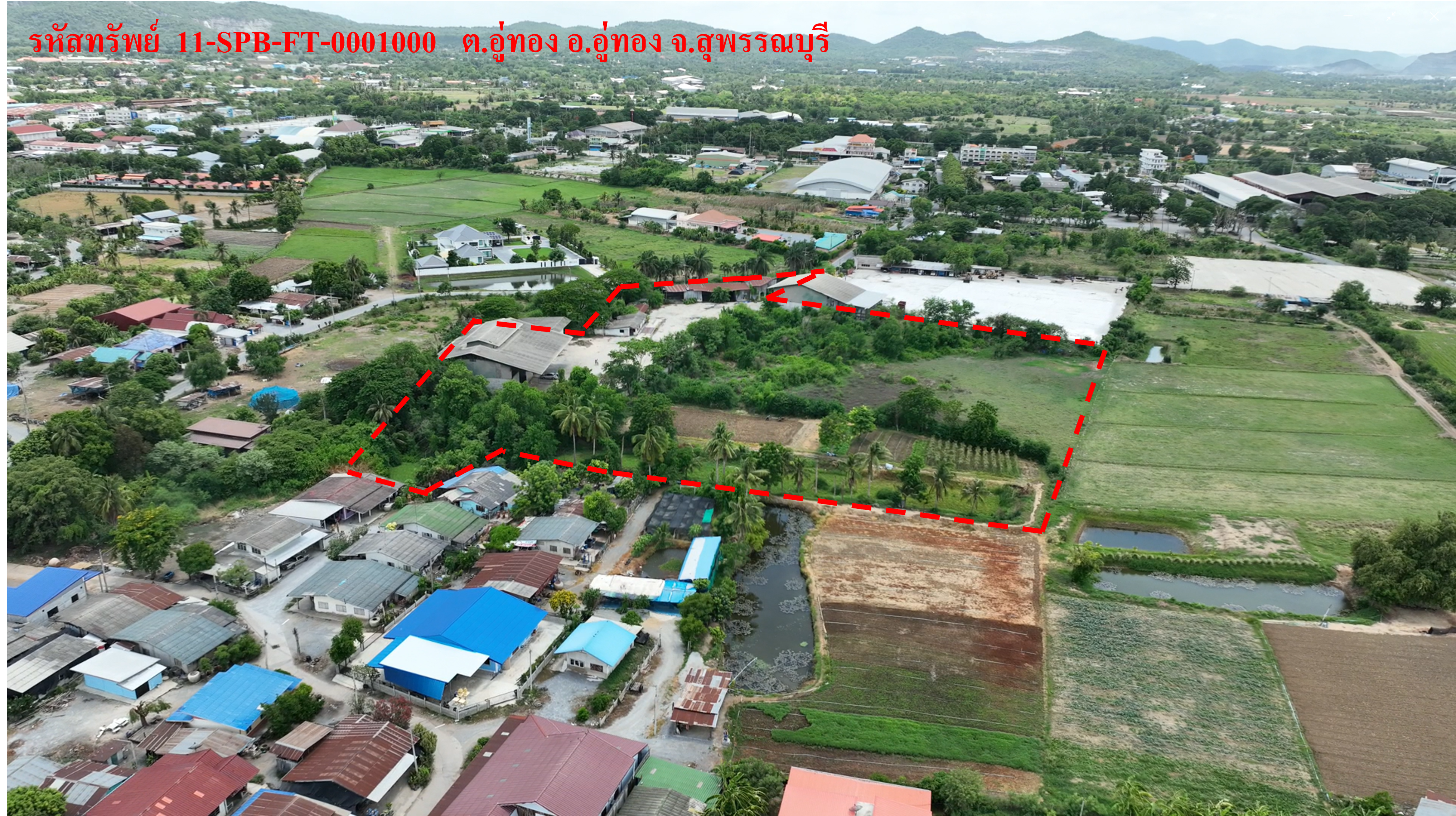 อาคารพาณิชย์ ให้เช่า อู่ทอง สุพรรณบุรี