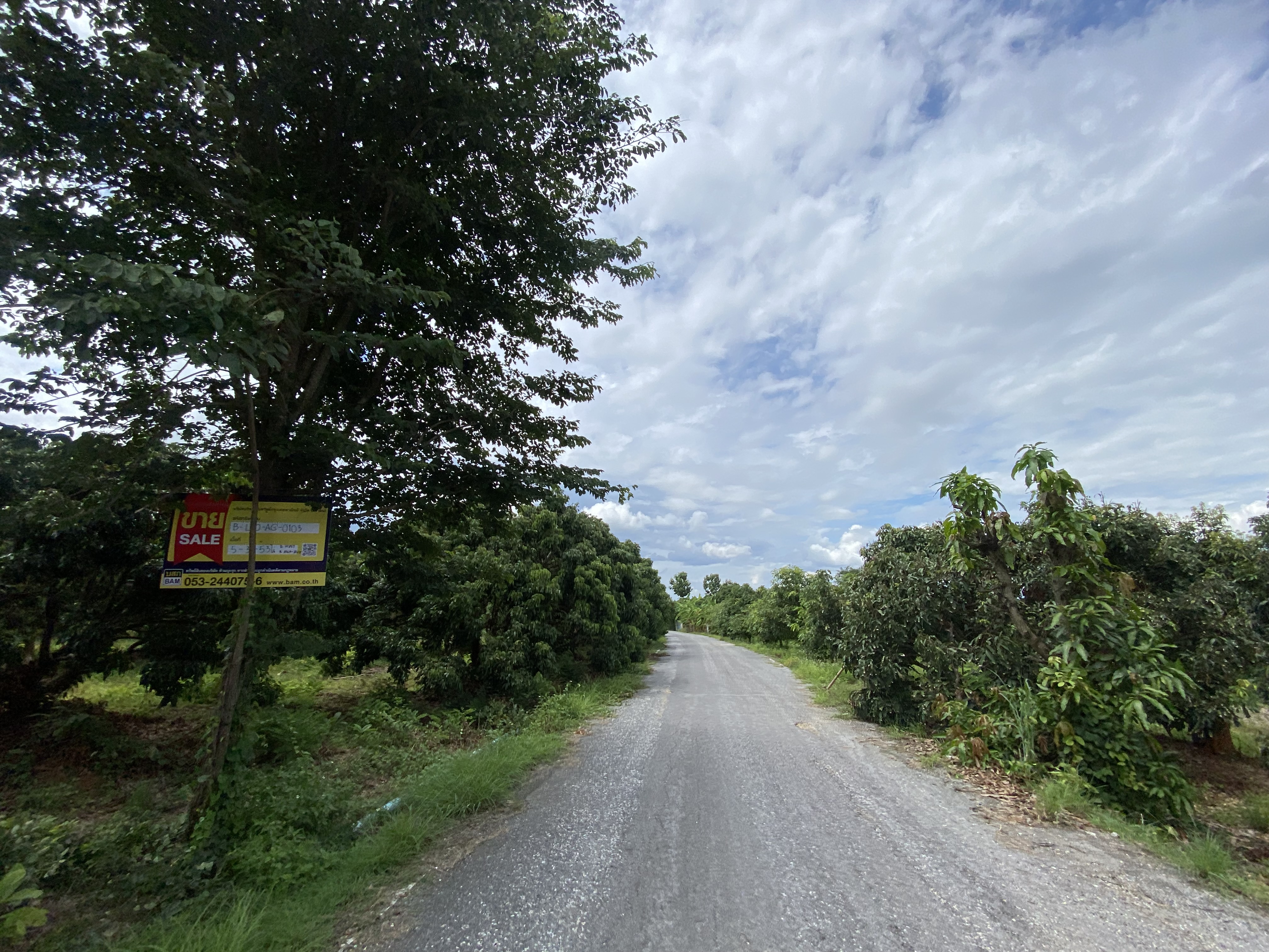 6-Plots of Vacant Land
