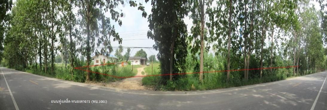 ที่ดินเปล่า เพชรบุรี