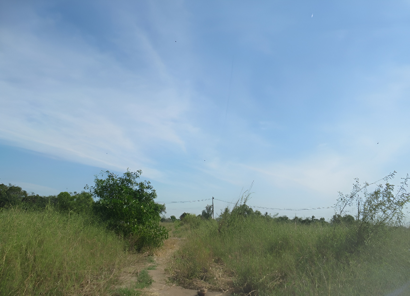 ที่ดิน หนองจอก หนองจอก กรุงเทพมหานคร