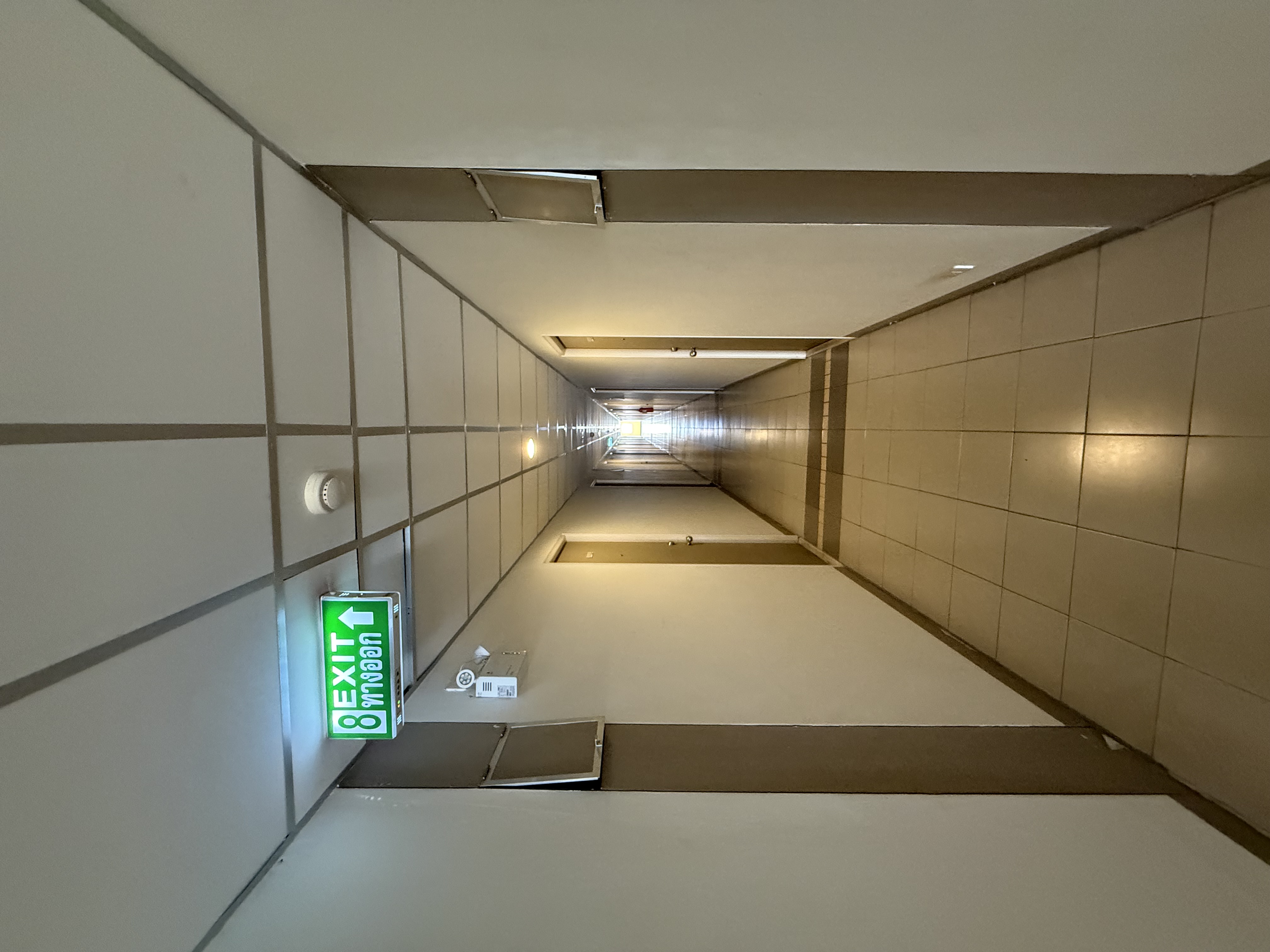IMG_6478.jpeg