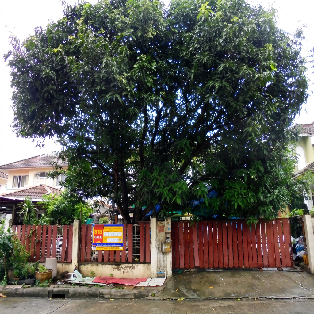 บ้านเดี่ยว  ธัญบุรี ปทุมธานี