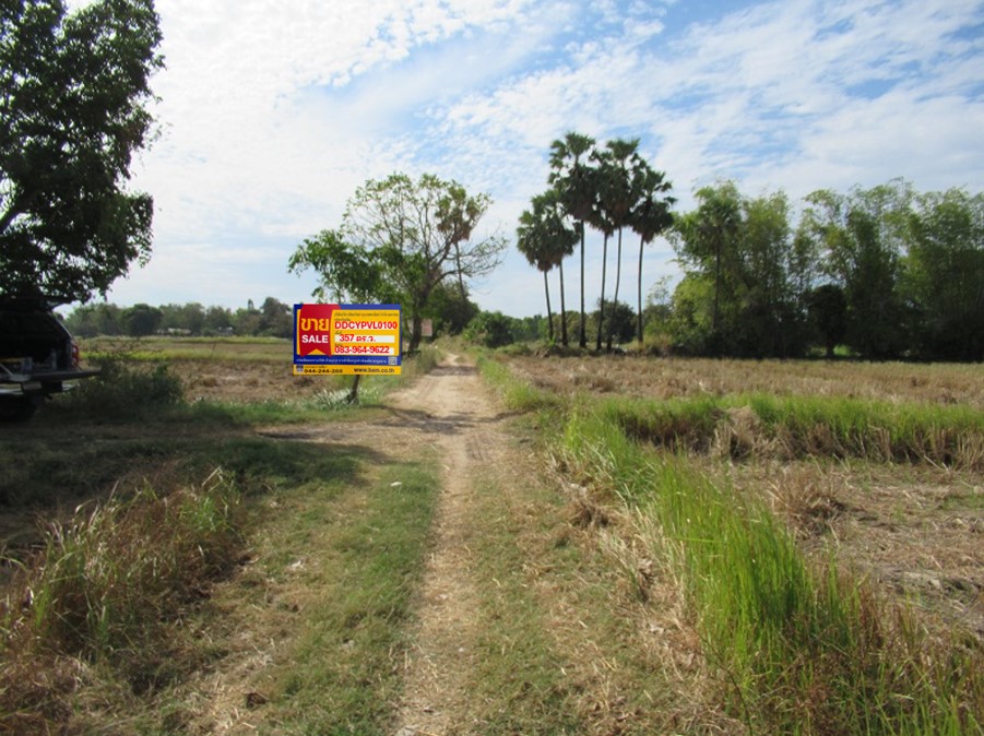 ที่ดิน ในเมือง  ชัยภูมิ
