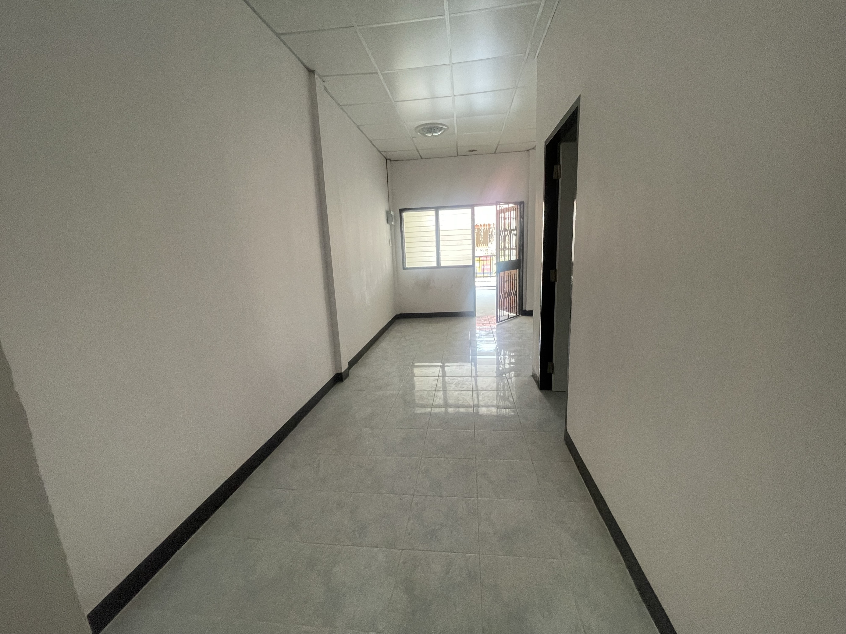 Image - 2025-02-11T164639.616.jfif