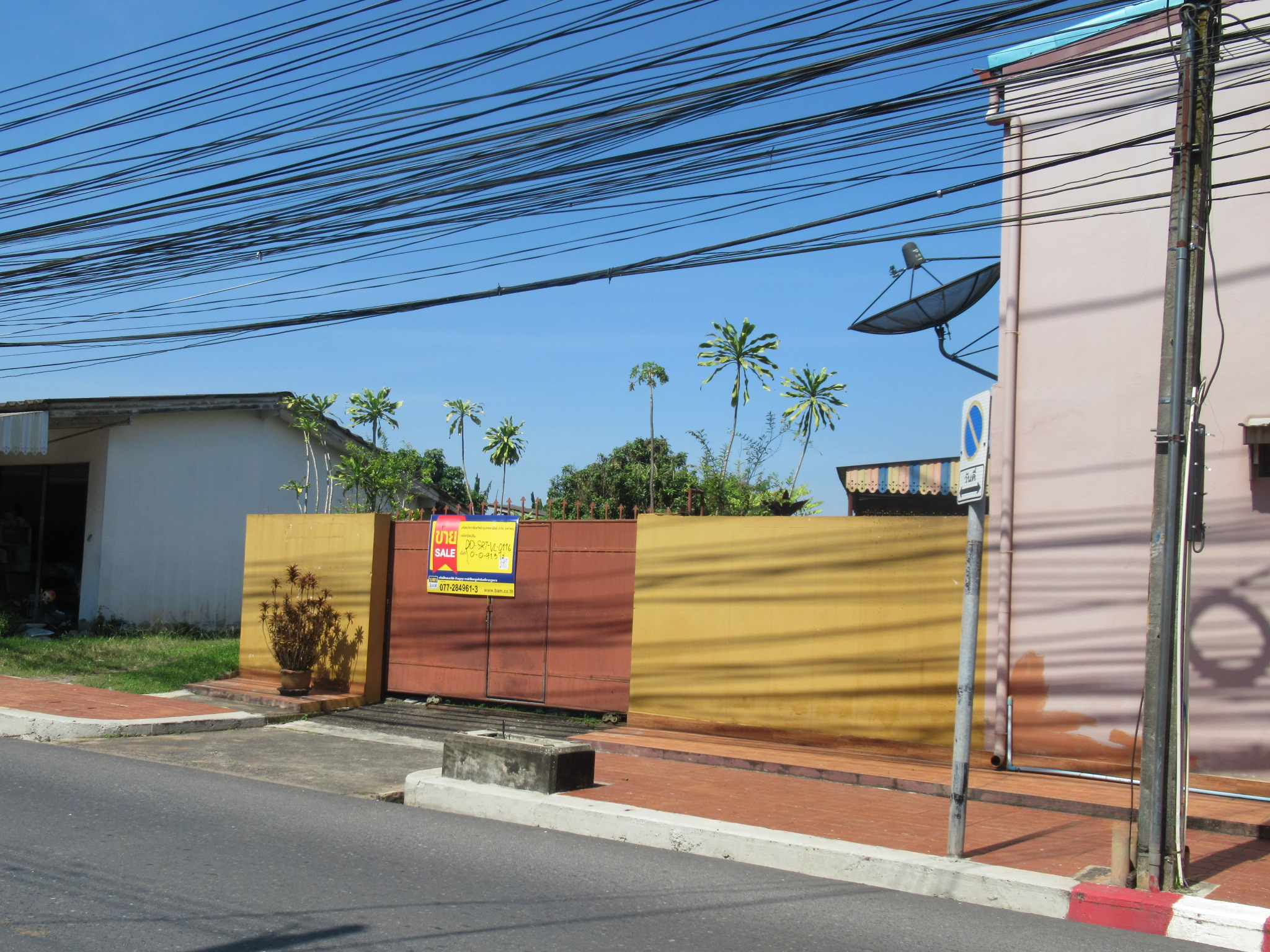 ที่ดิน มะขามเตี้ย  สุราษฎร์ธานี